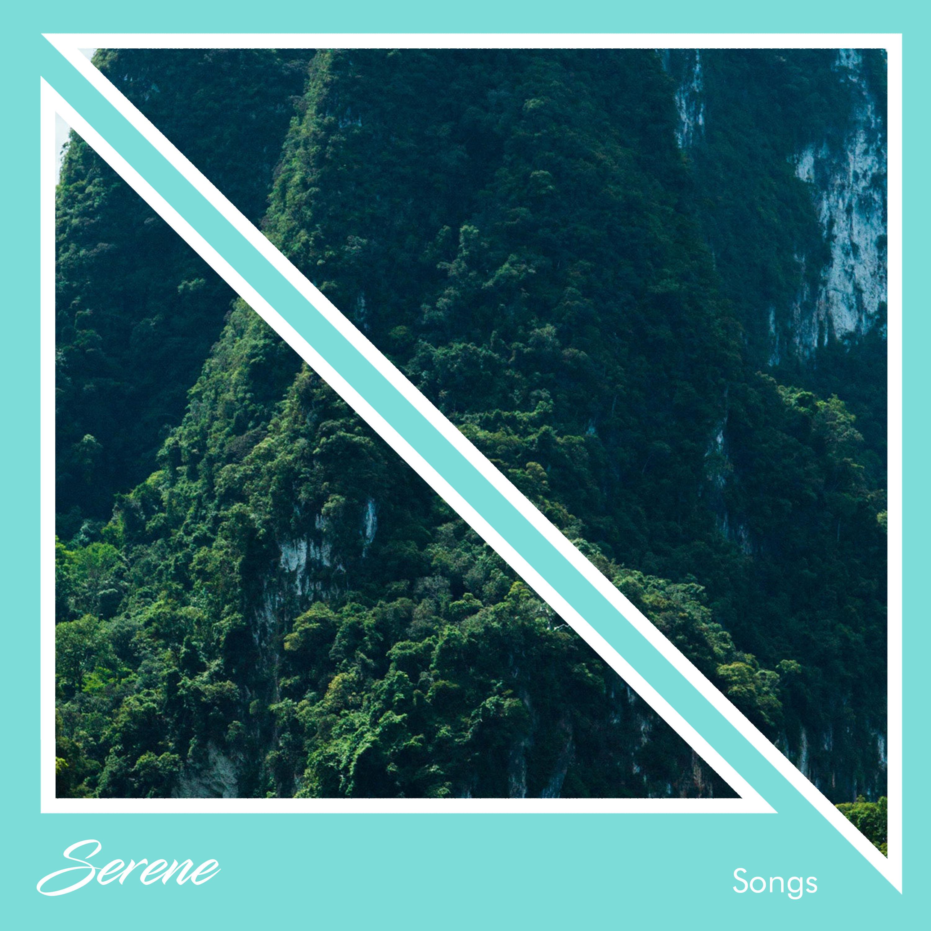 #17 Serene Songs to Relax and Unwind