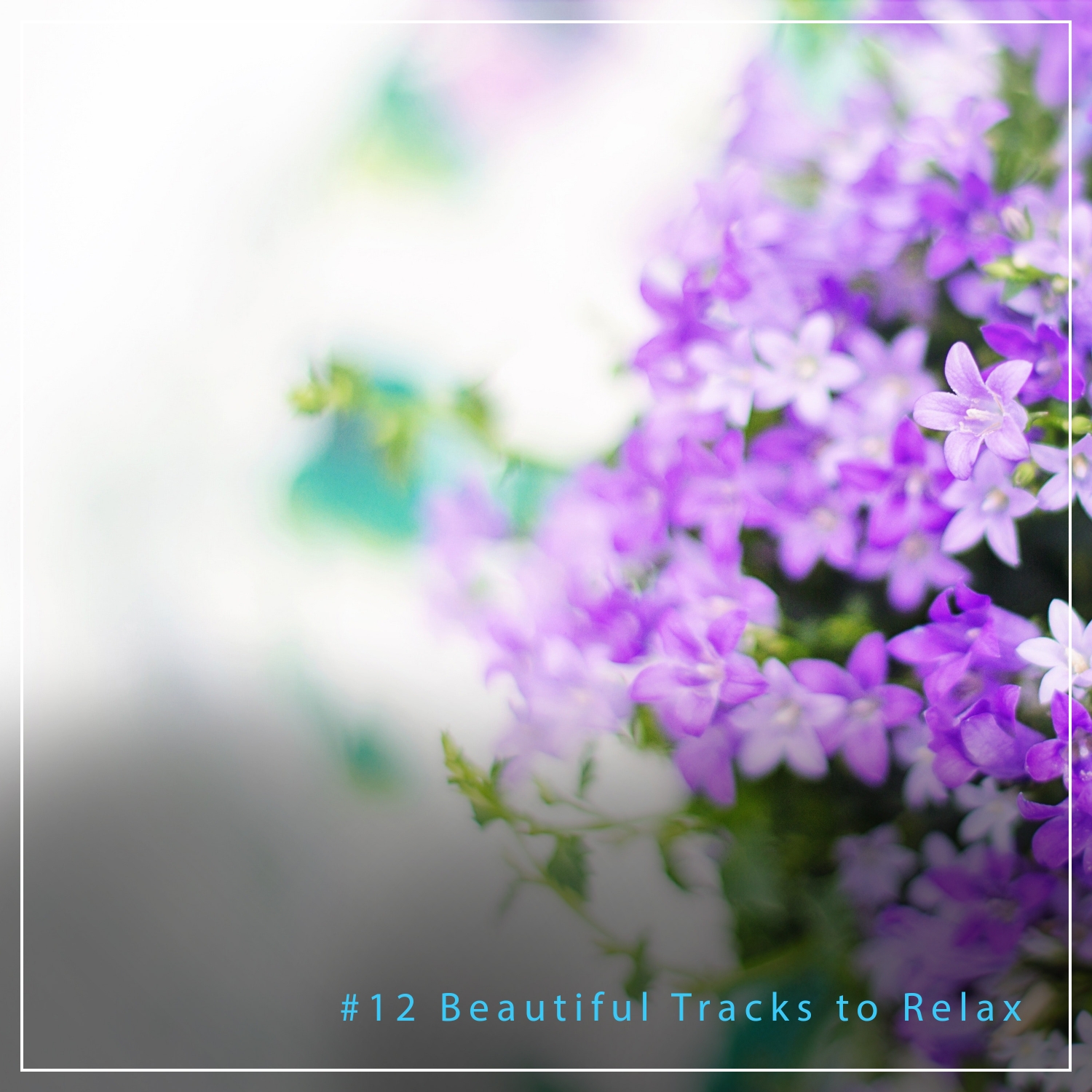 #12 Beautiful Tracks to Relax