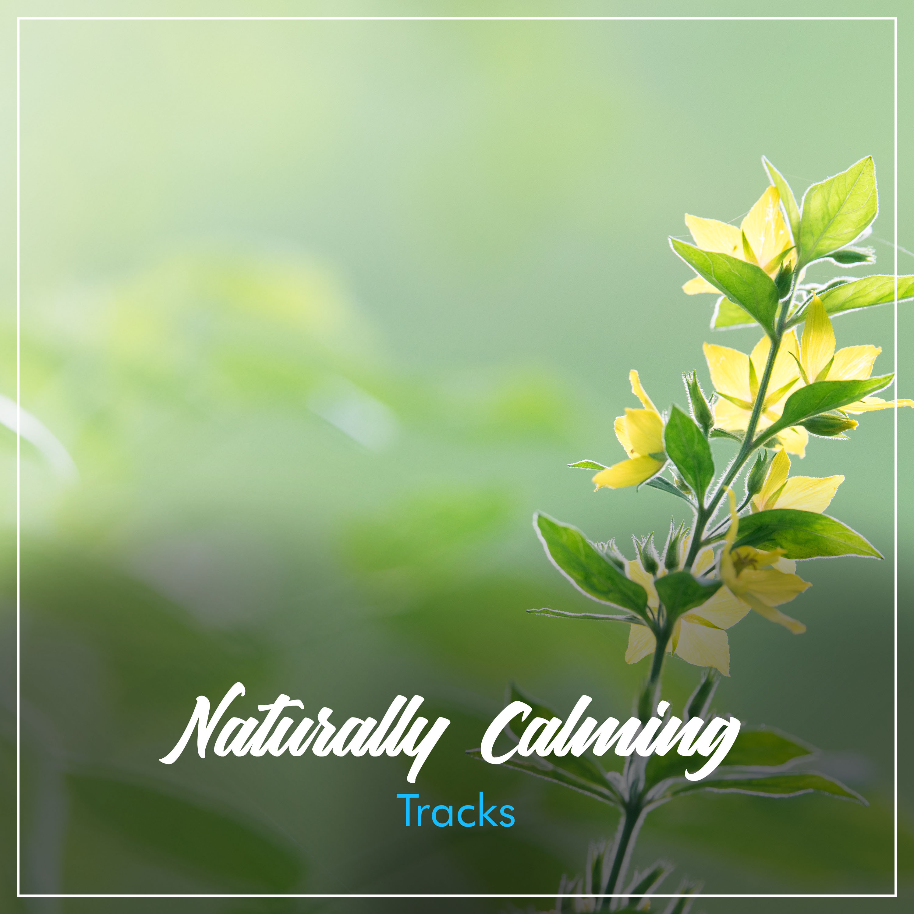 #20 Naturally Calming Tracks for Rejuvenation