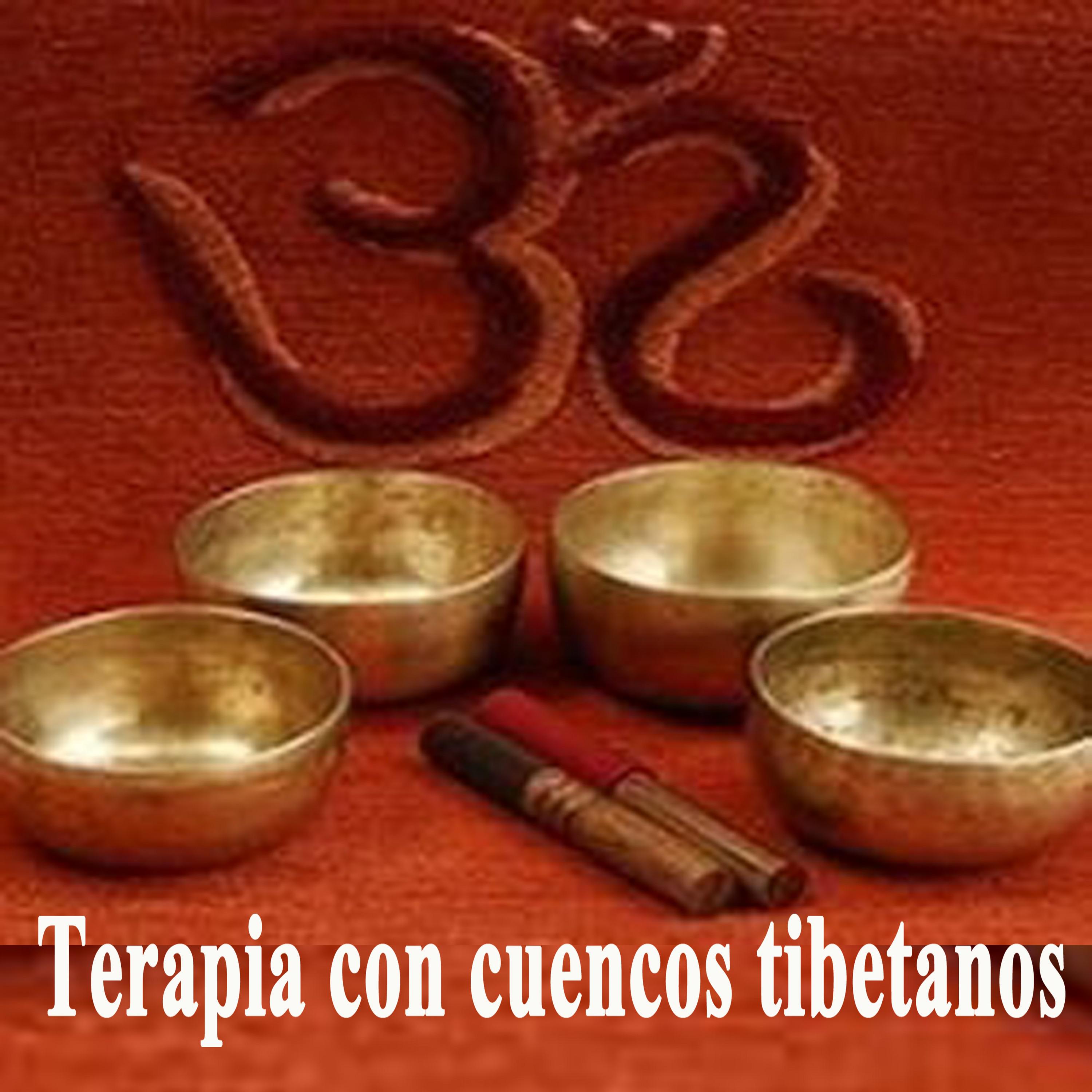 Terapia Con Cuencos Tibetanos Calmar el Holli n Budista Mu sica para Relajacio n, Meditacio n Profunda, Sanacio n Equilibrio, Dormir, Spa y Masaje de Chakra