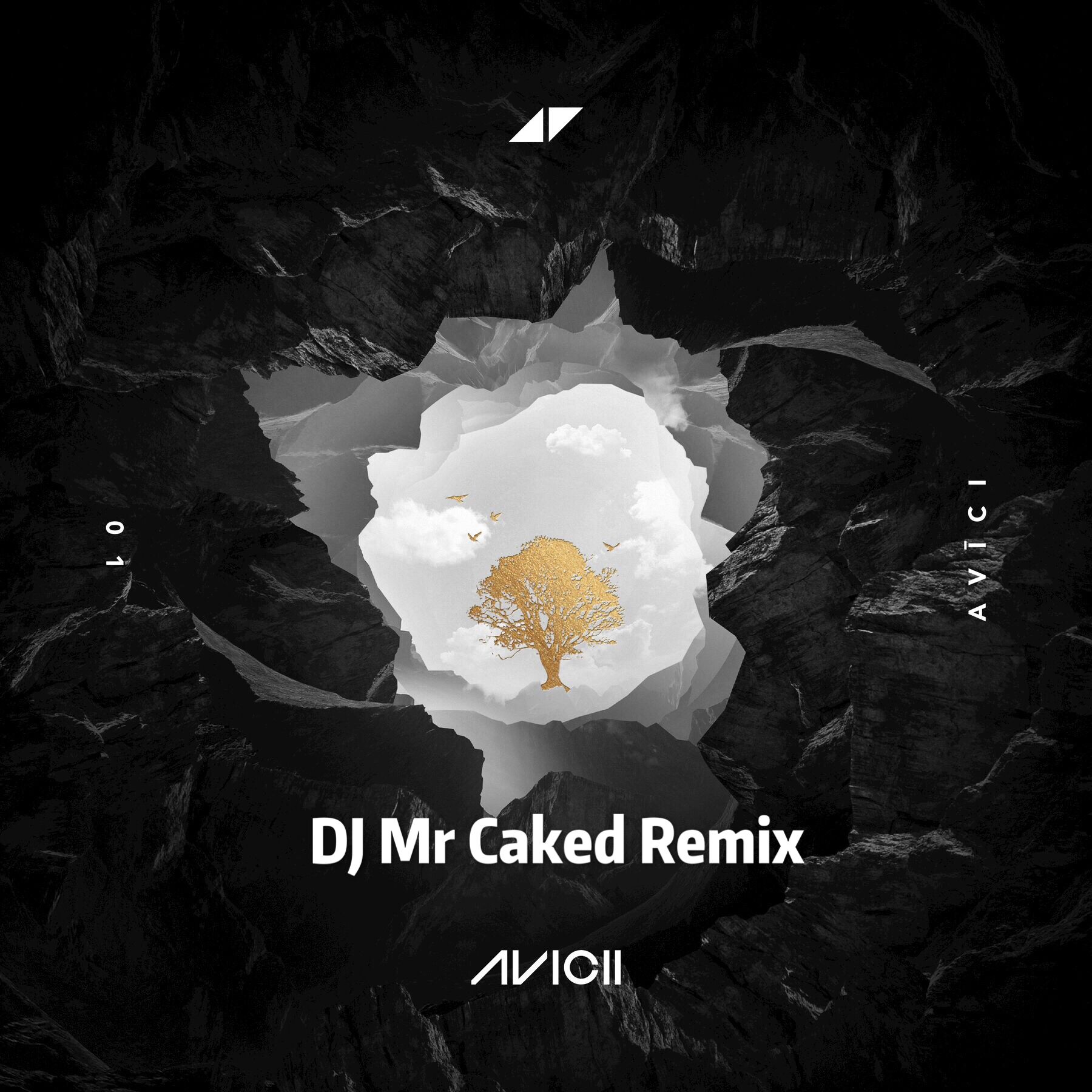 AVICII (DJ Mr Caked Remix)