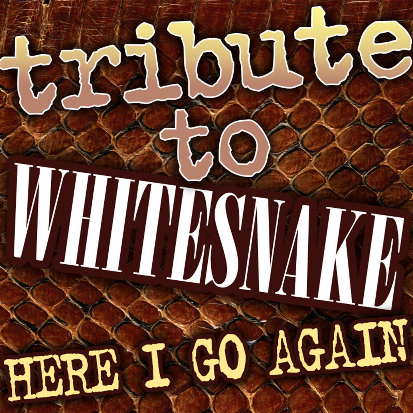 Tribute To Whitesnake - Here I Go Again