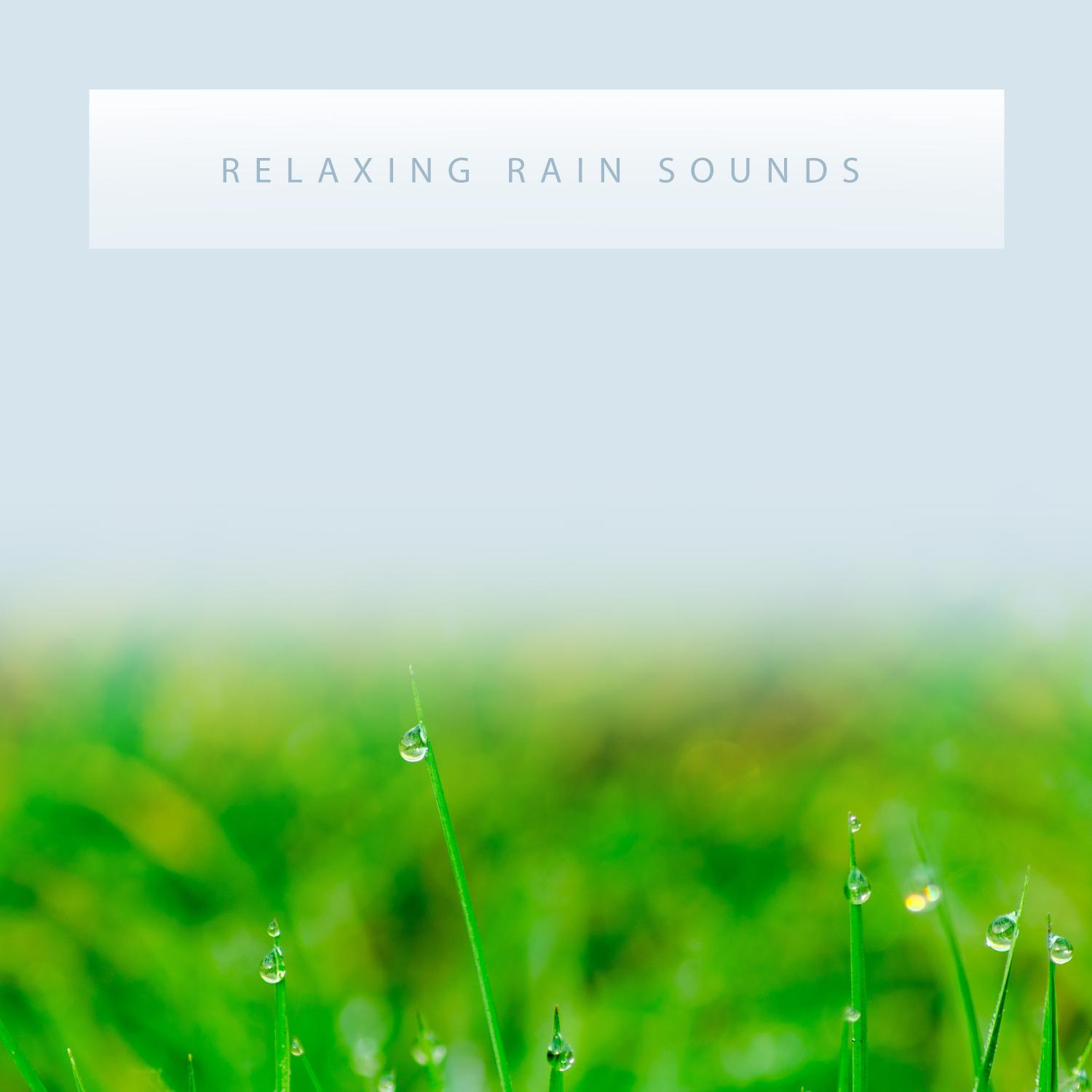 15 Relaxing Rain Sounds