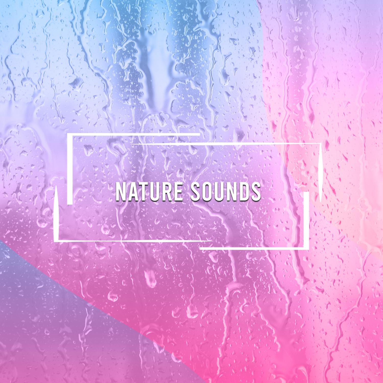 5 Loopable Nature Sounds for Meditation, Relaxation, Spa, Yoga and Zen
