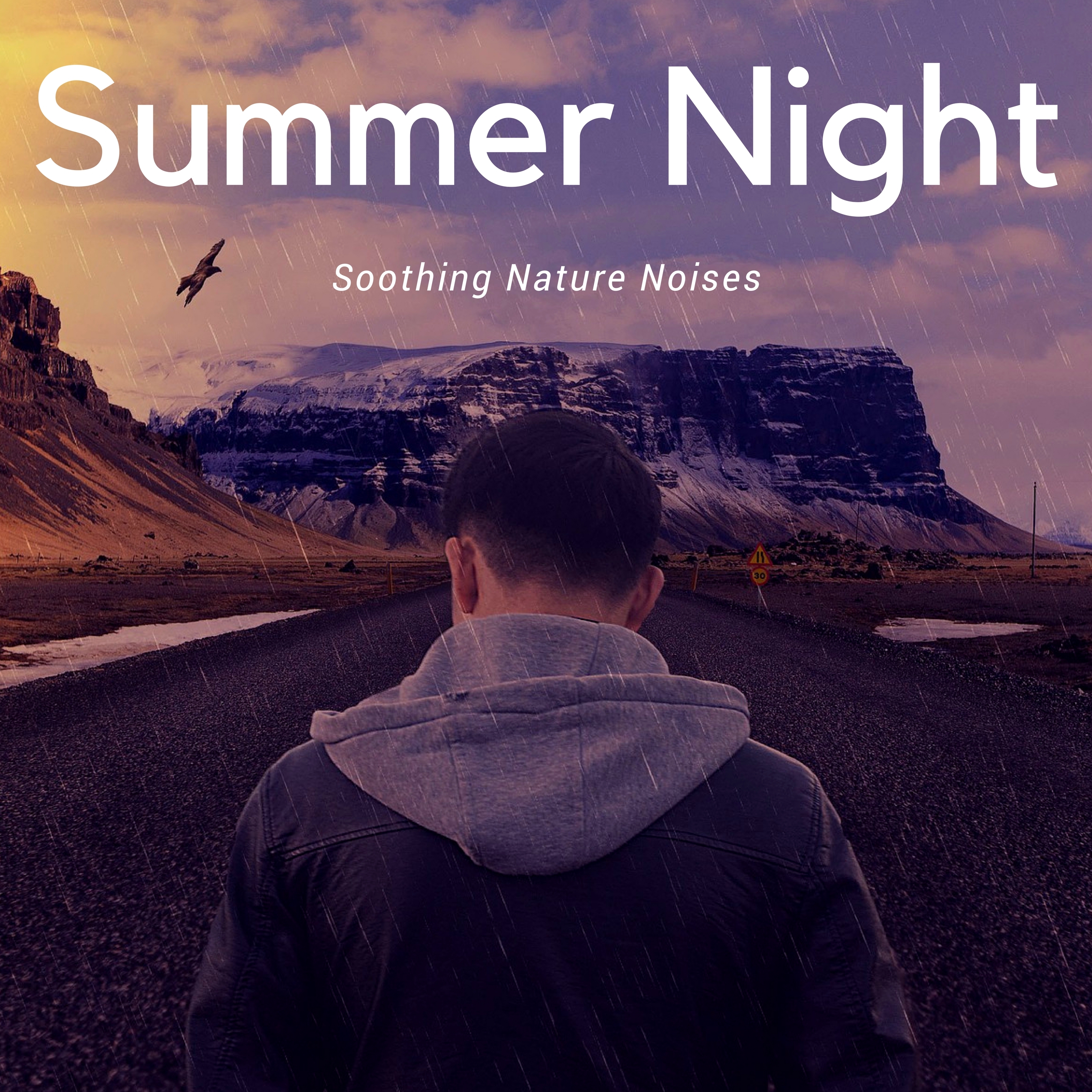 Summer Night