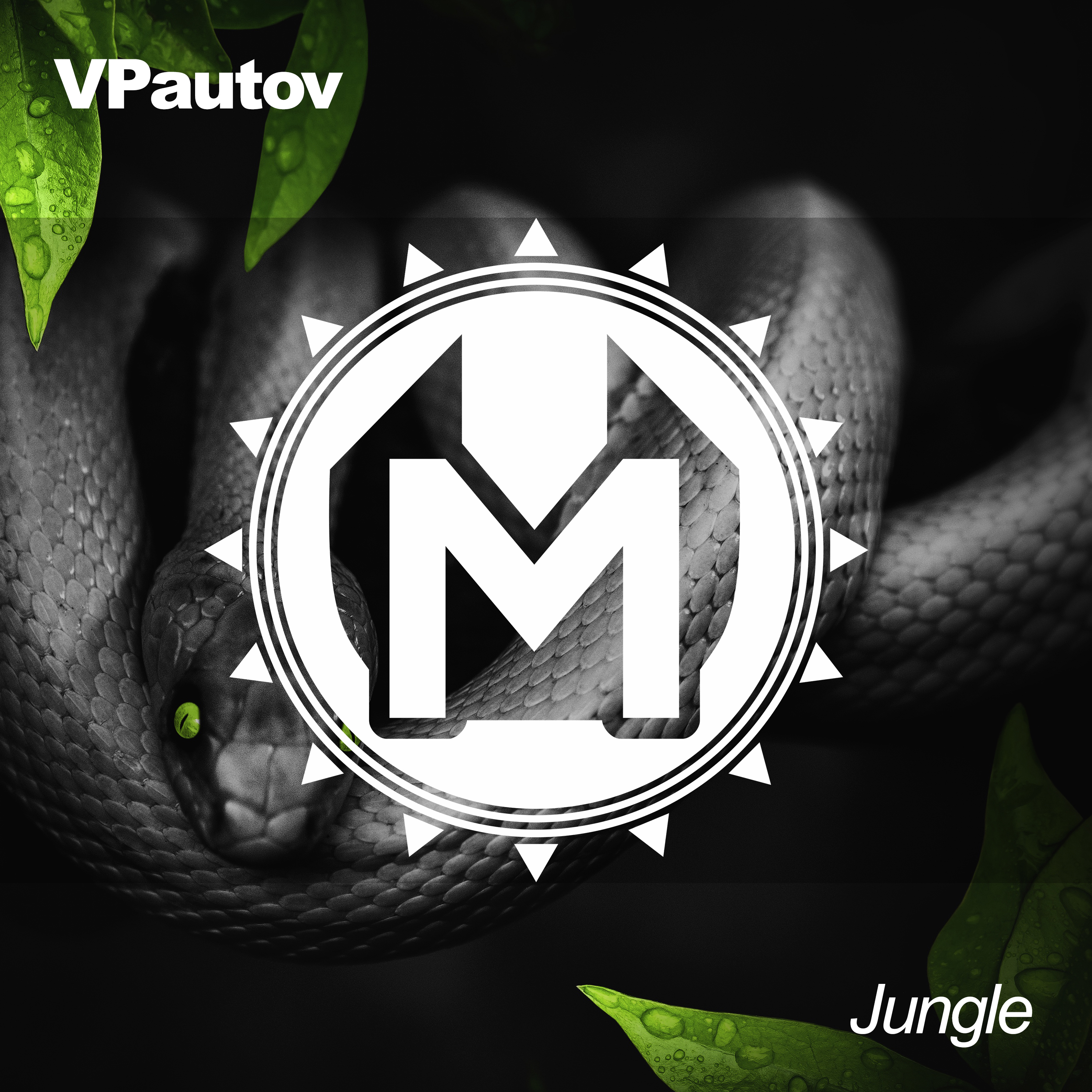 Jungle (Vip mix)