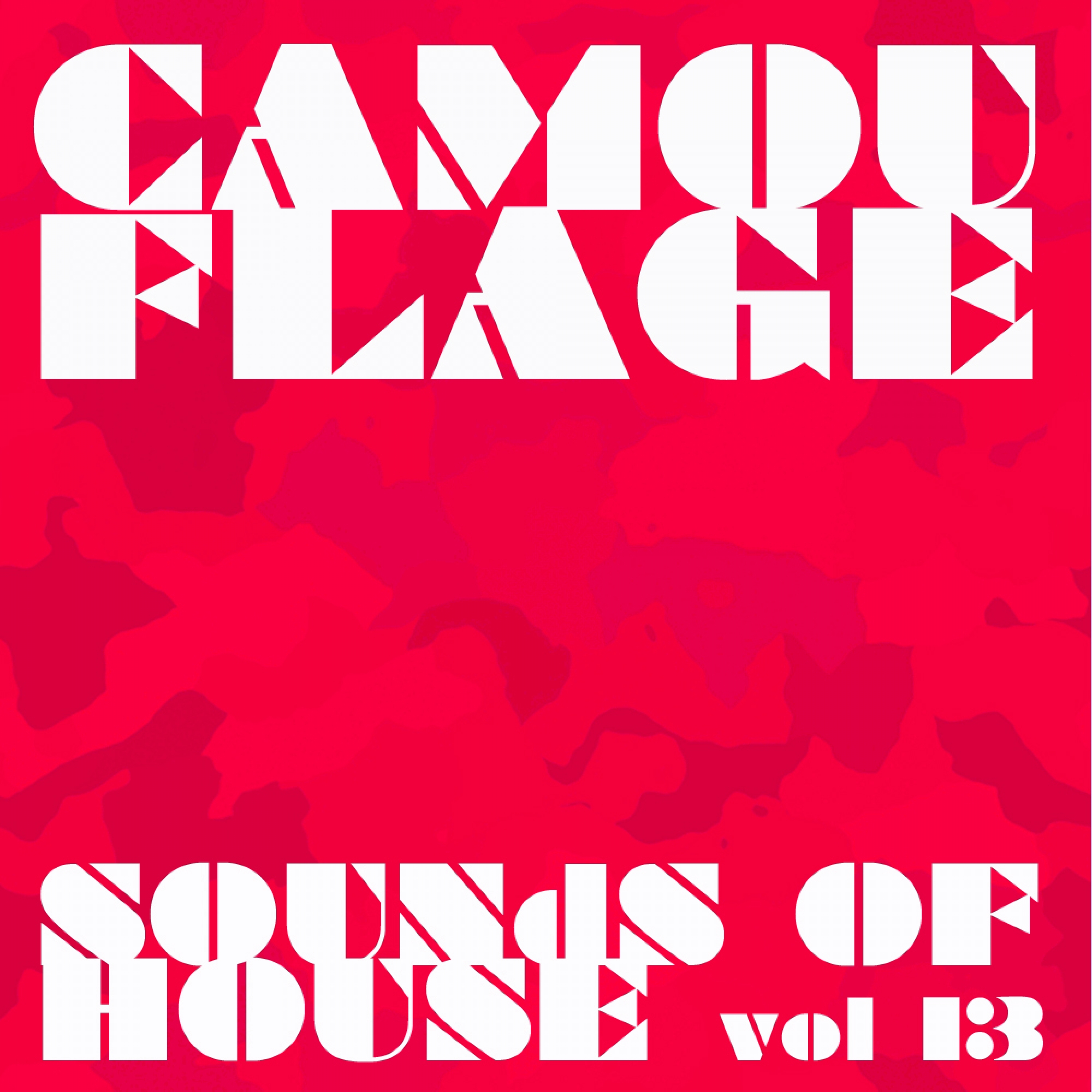 Camouflage Sounds of House, Vol.13