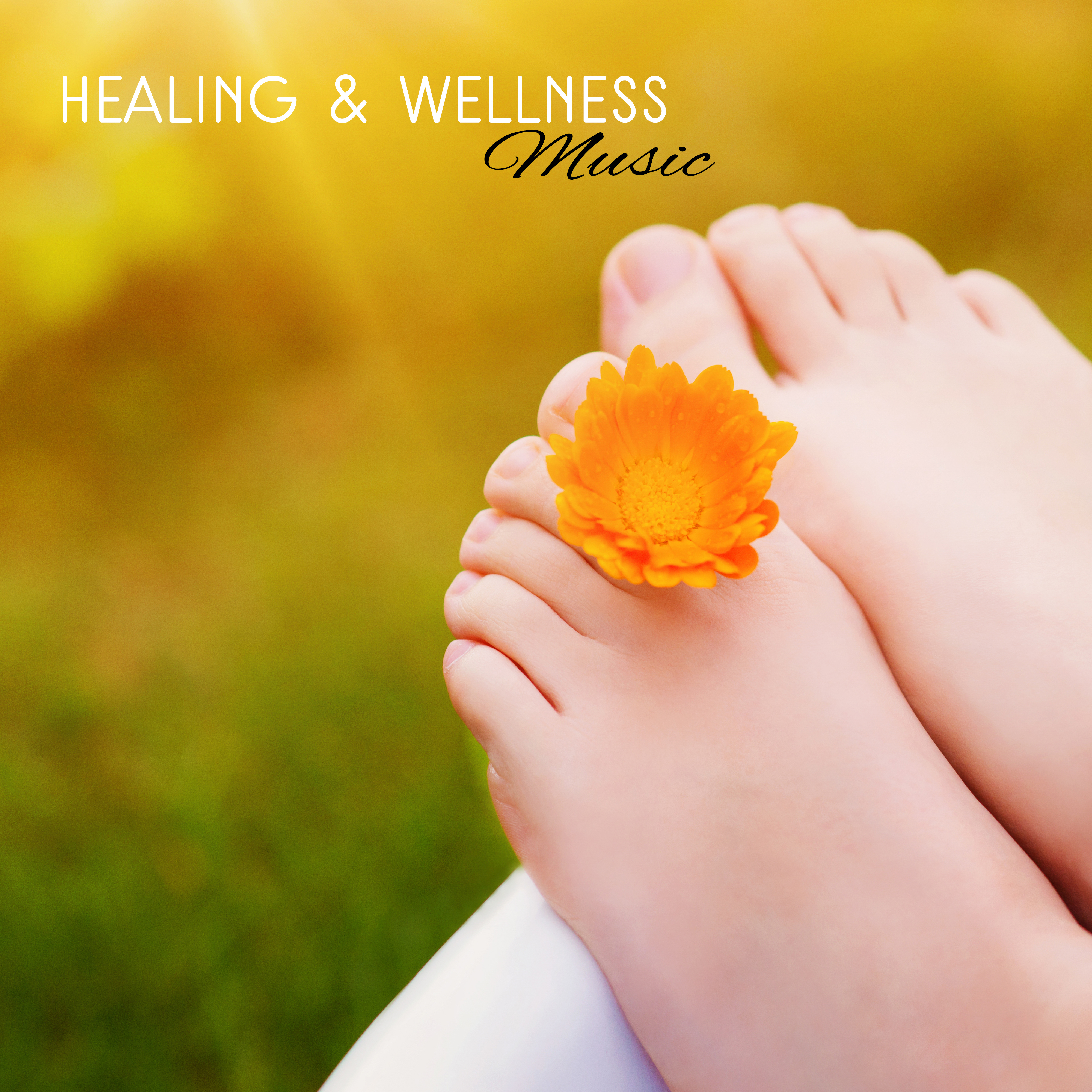 Healing  Wellness Music  Soft Songs to Relax, Massage Melodies, Chilled Sounds for Spa, New Age Music