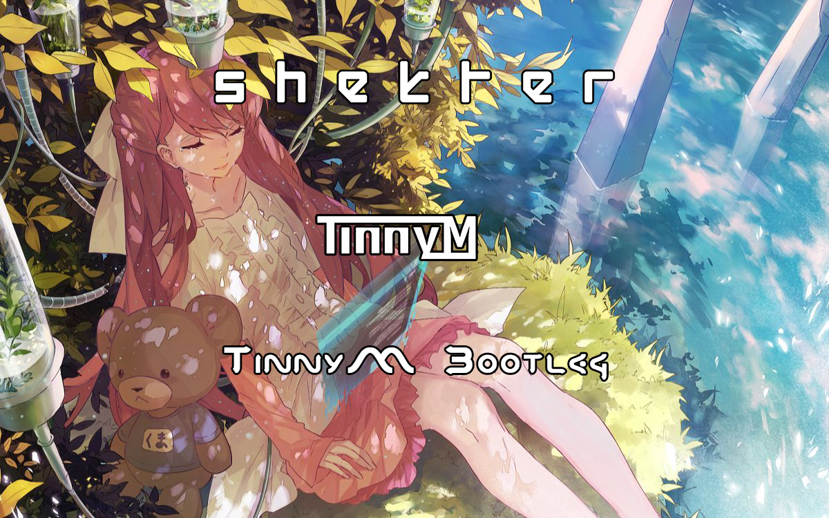 shelter Tinnym bootleg