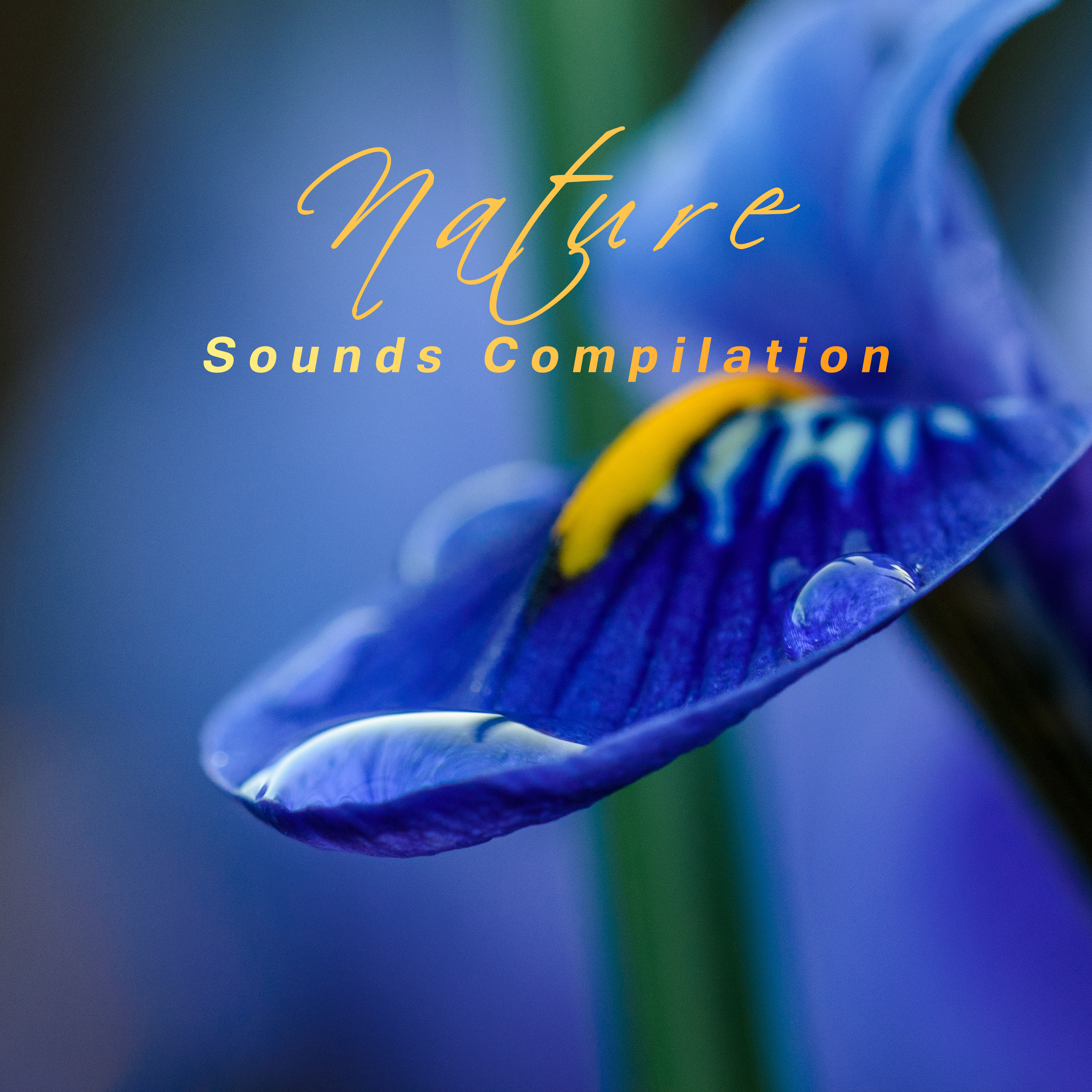Nature Sounds Compilation  Relaxing Music Therapy, Sounds of Nature, Relaxation  Meditation, Zen