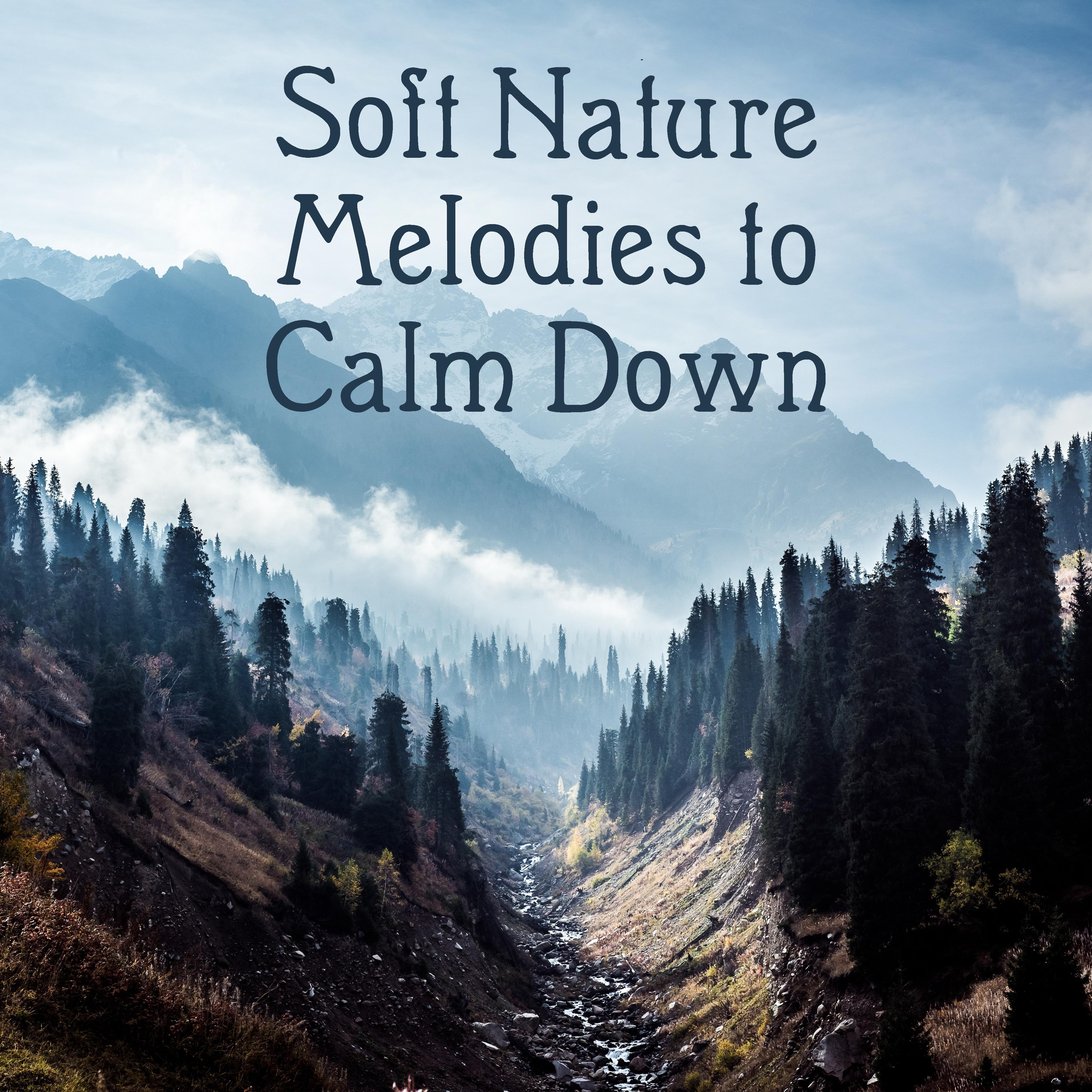 Soft Nature Melodies to Calm Down  Easy Listening Nature Sounds, Time to Rest, Healing Melodies, Spirit Journey