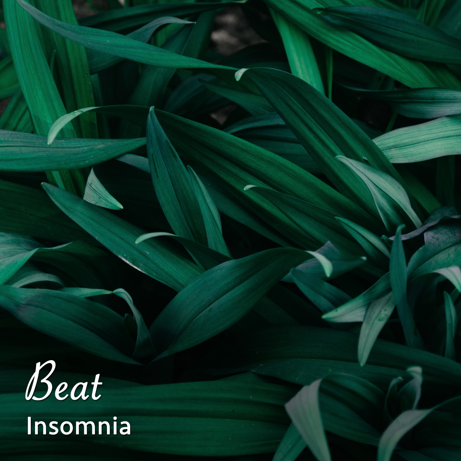 10 Sounds to Beat Insomnia. White Noise to Drift Off and Sleep All Night