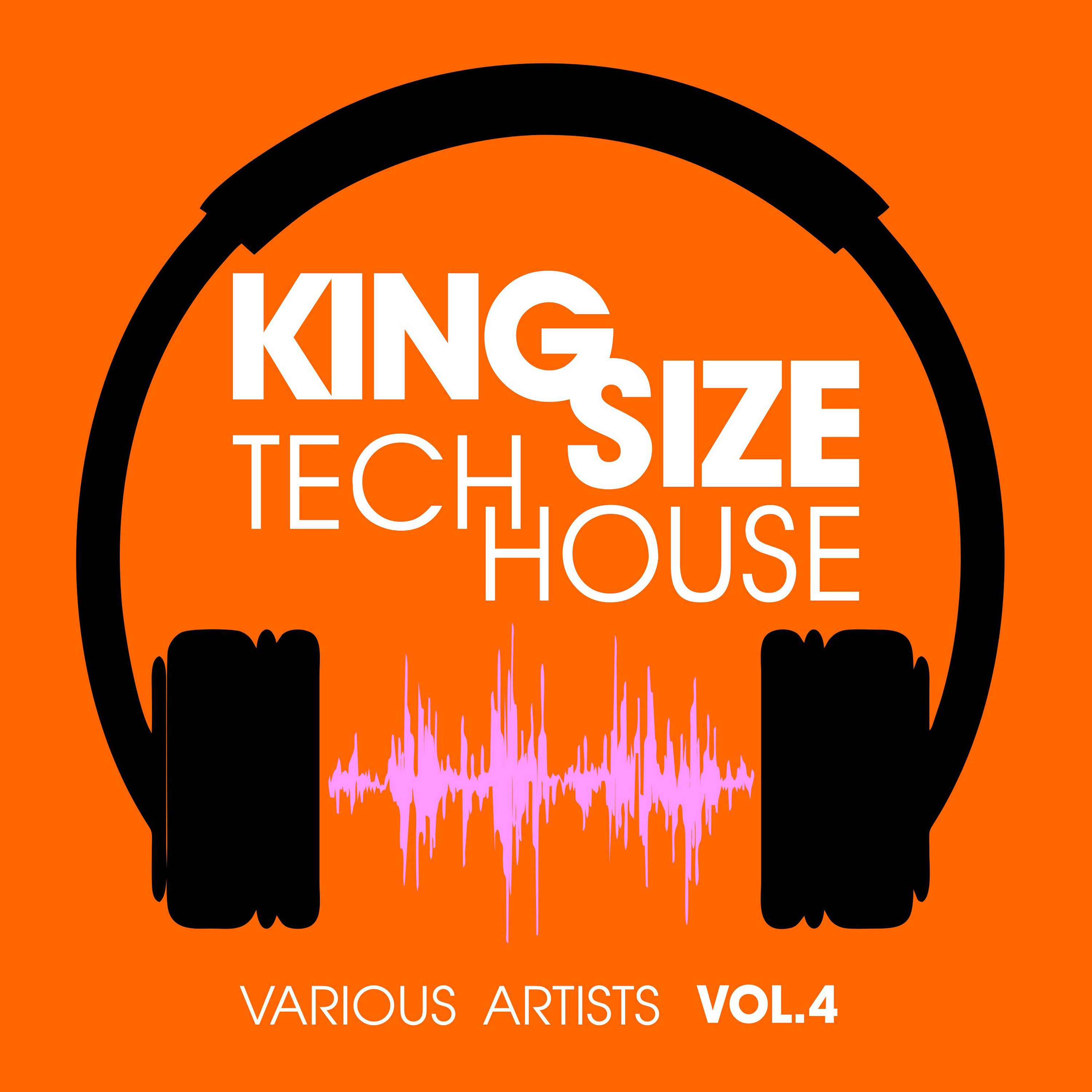 King Size Tech House, Vol. 4
