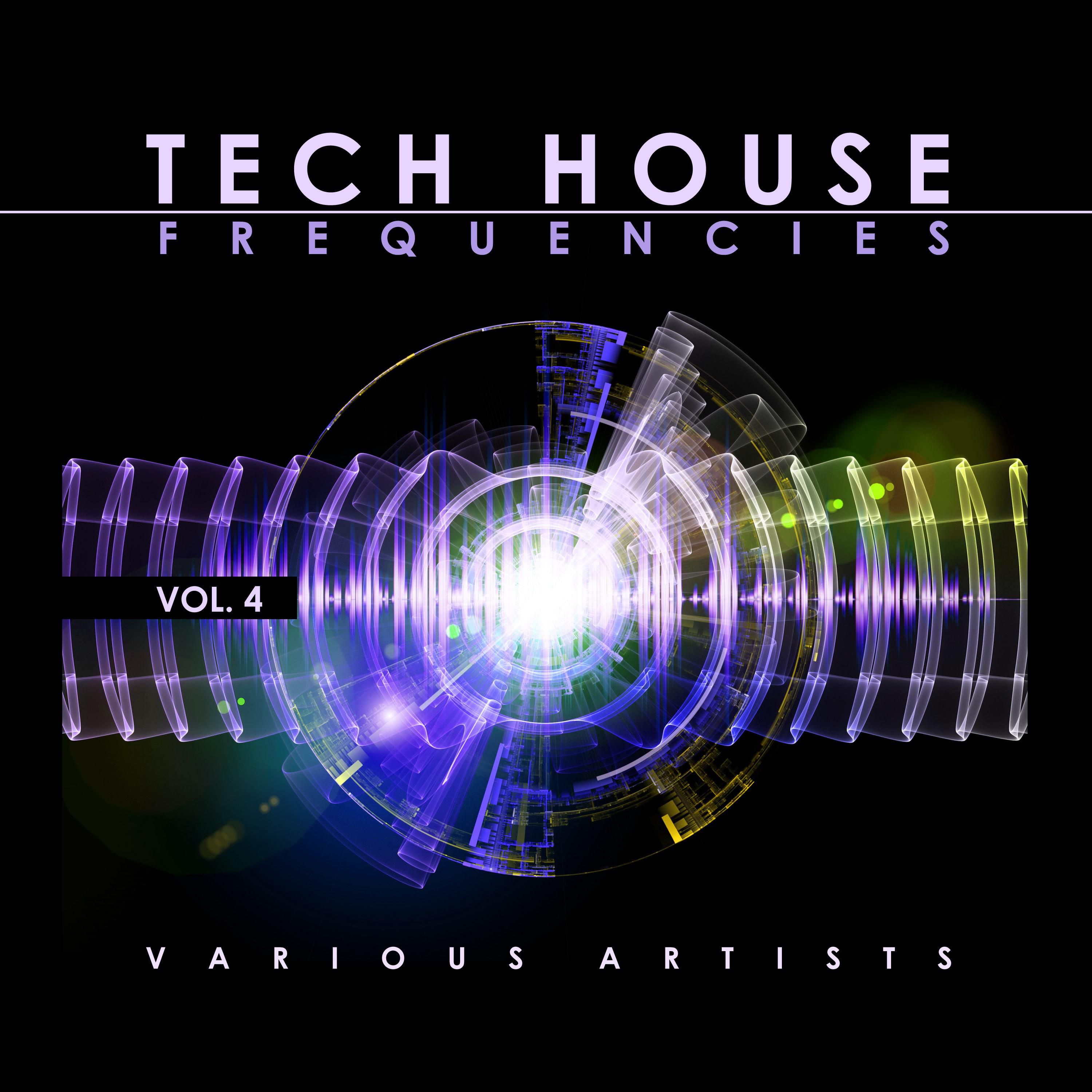 Tech House Frequencies, Vol. 4