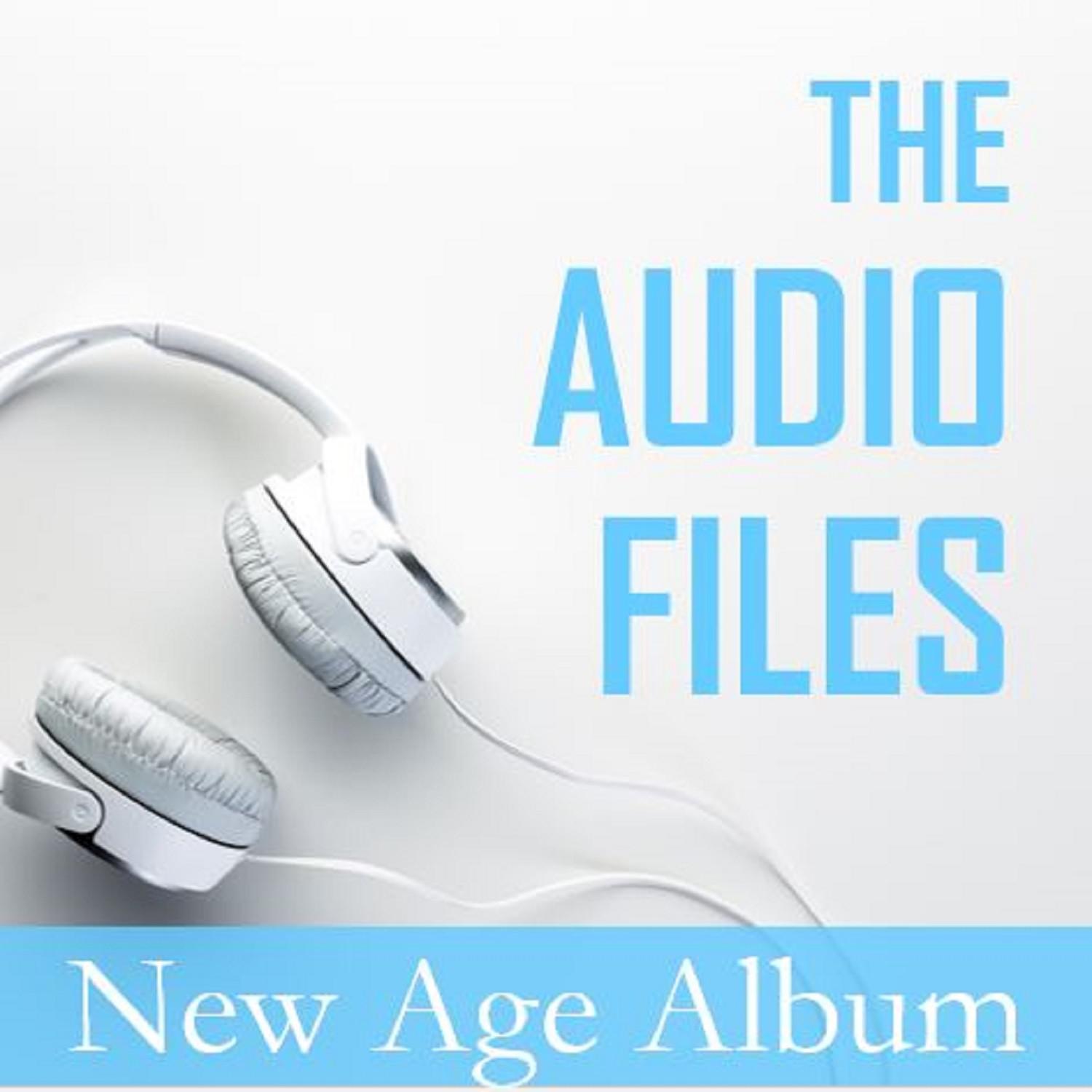 The Audio Files: New Age Album