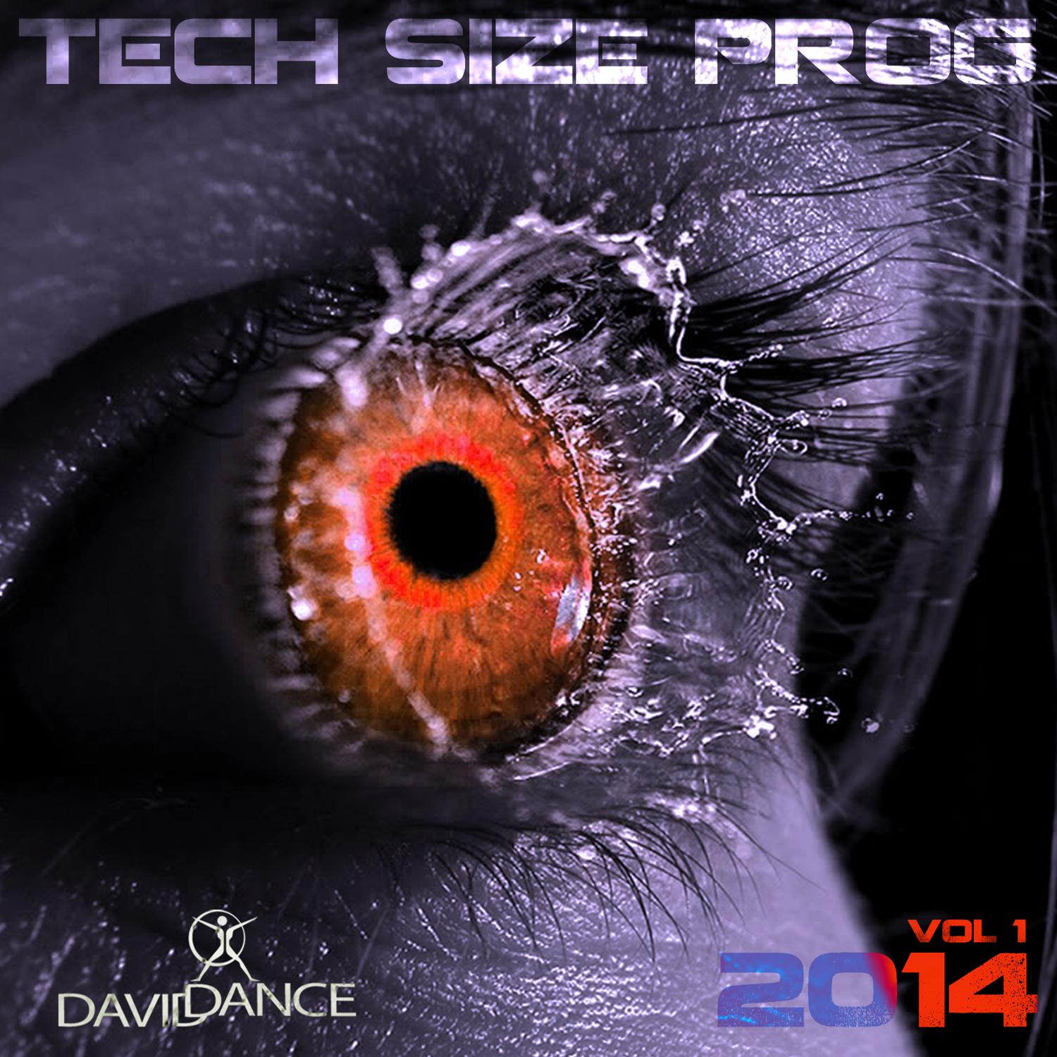 TECH SIZE PROG 2014 Vol. 1