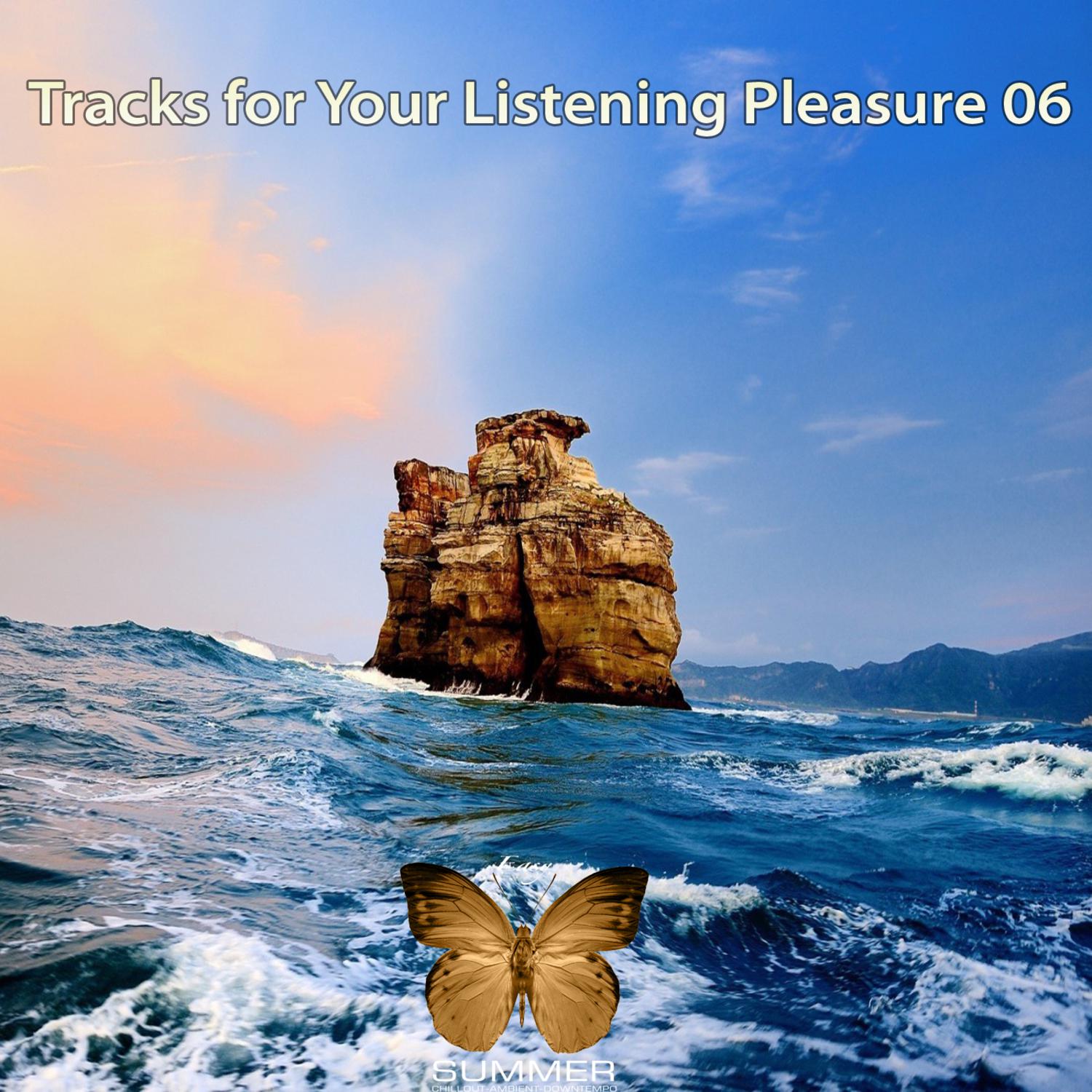 Tracks For Your Listening Pleasure, Vol 06