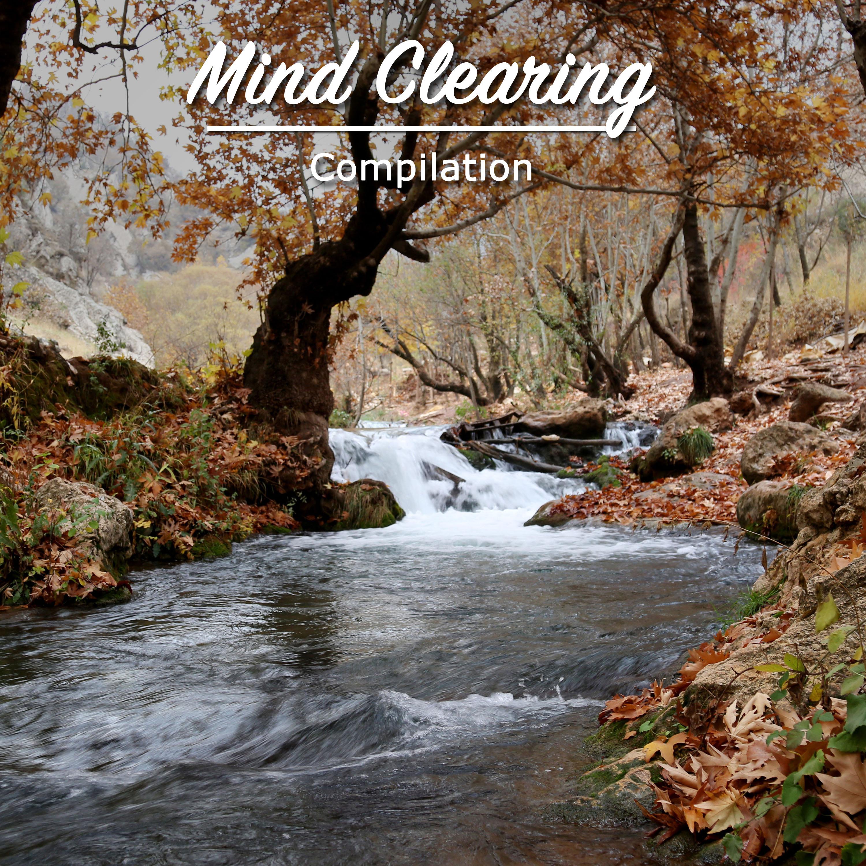 #15 Mind Clearing Compilation for Zen Spa