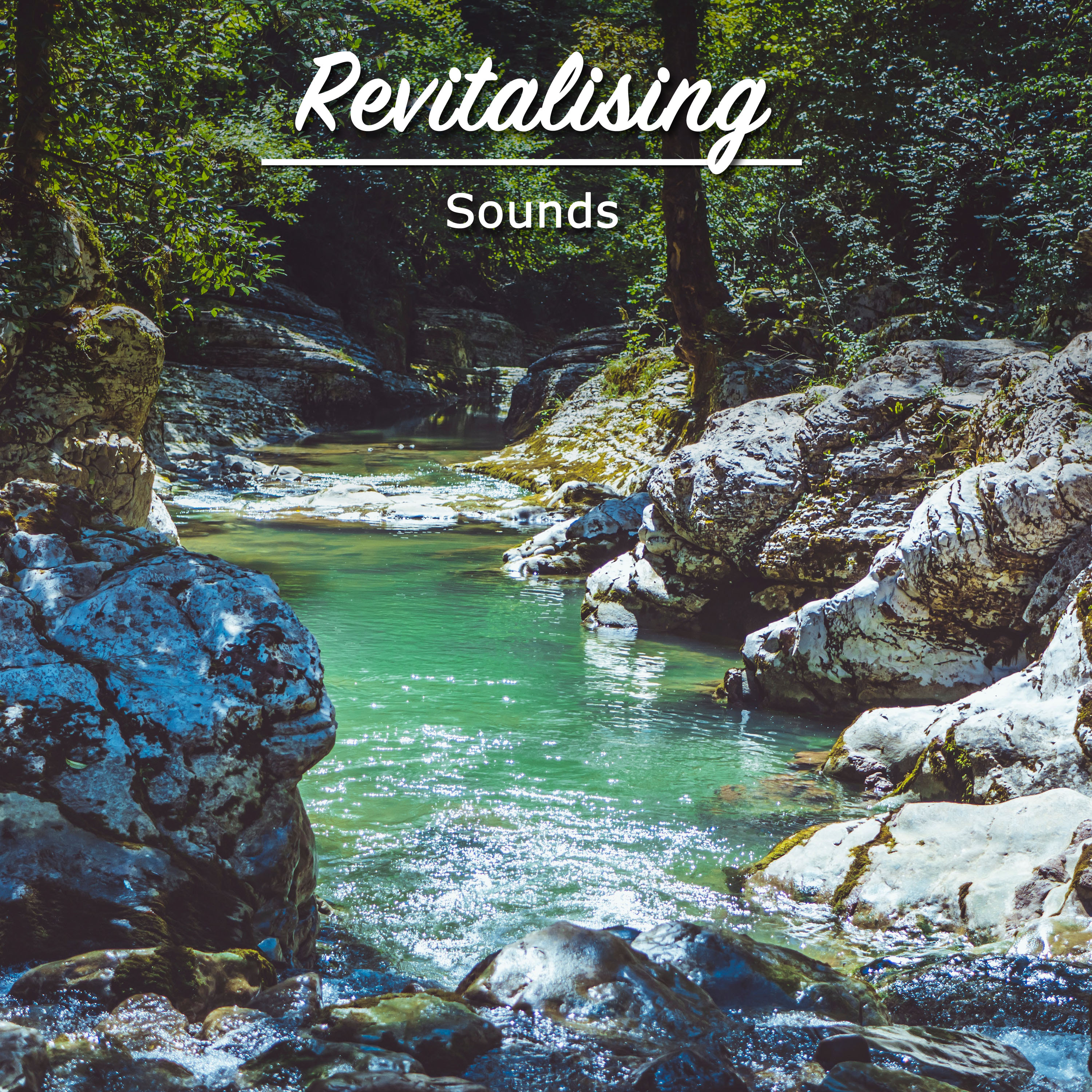 #19 Revitalising Sounds to Promote Wellness & Heal Chakras