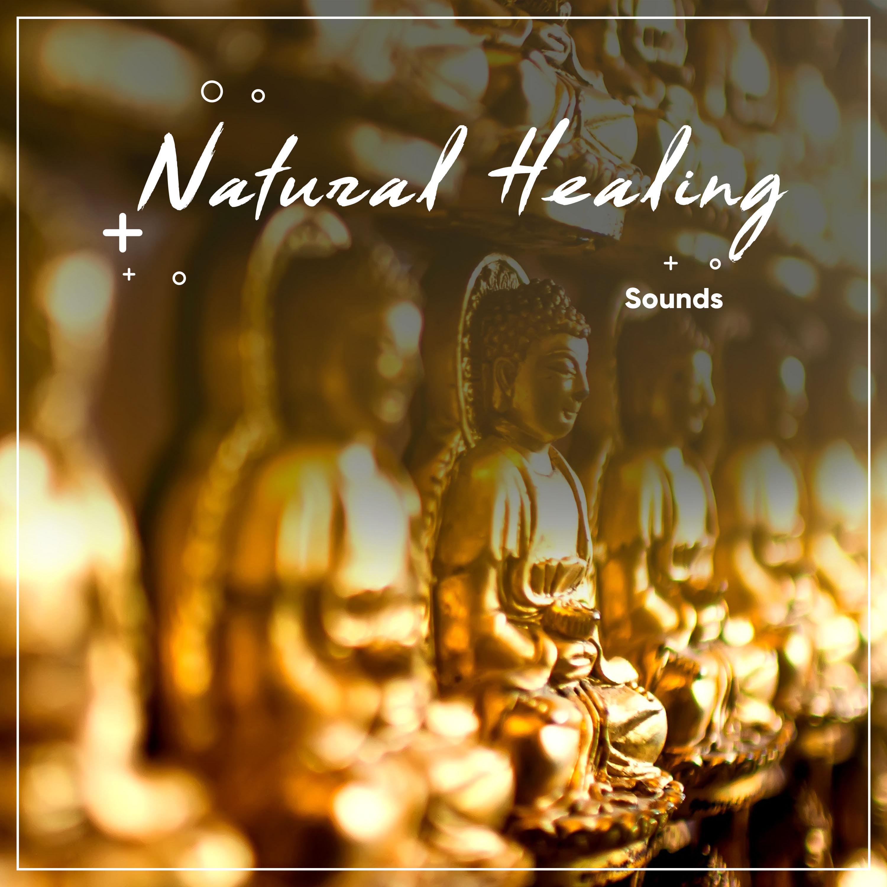 1 Stunde Natural Healing Sounds zur Beruhigung des Geistes