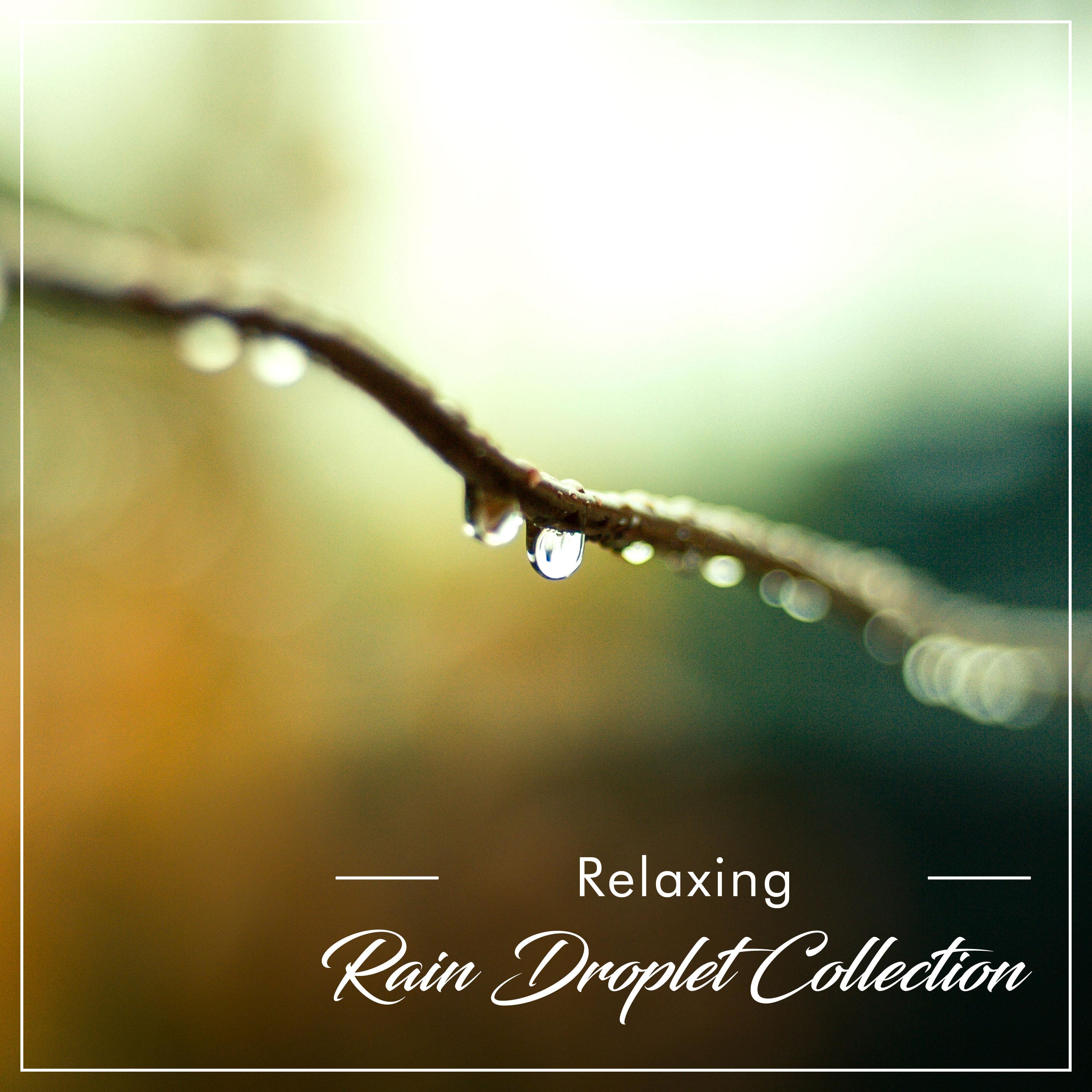 #10 Relaxing Rain Droplet Collection