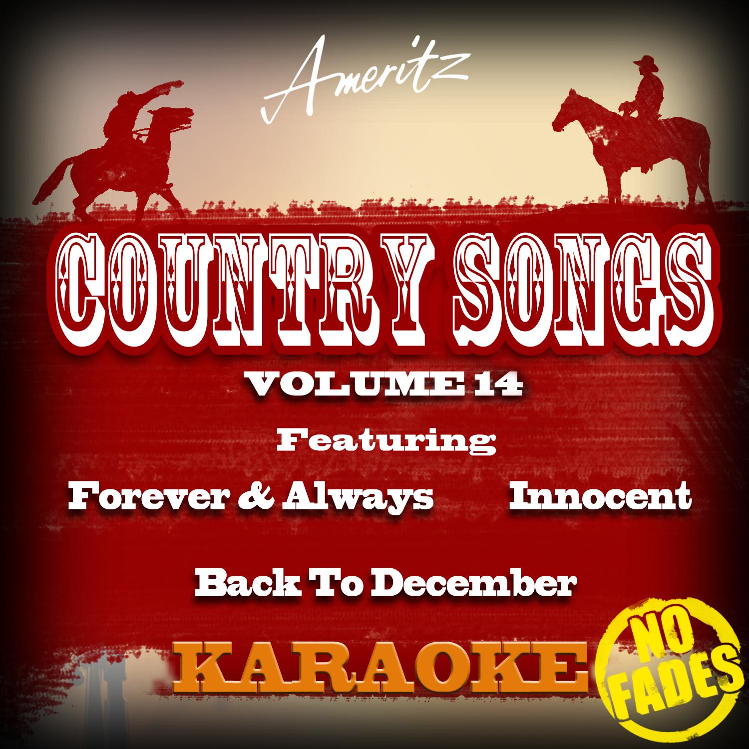 Karaoke - Country Songs Vol. 14