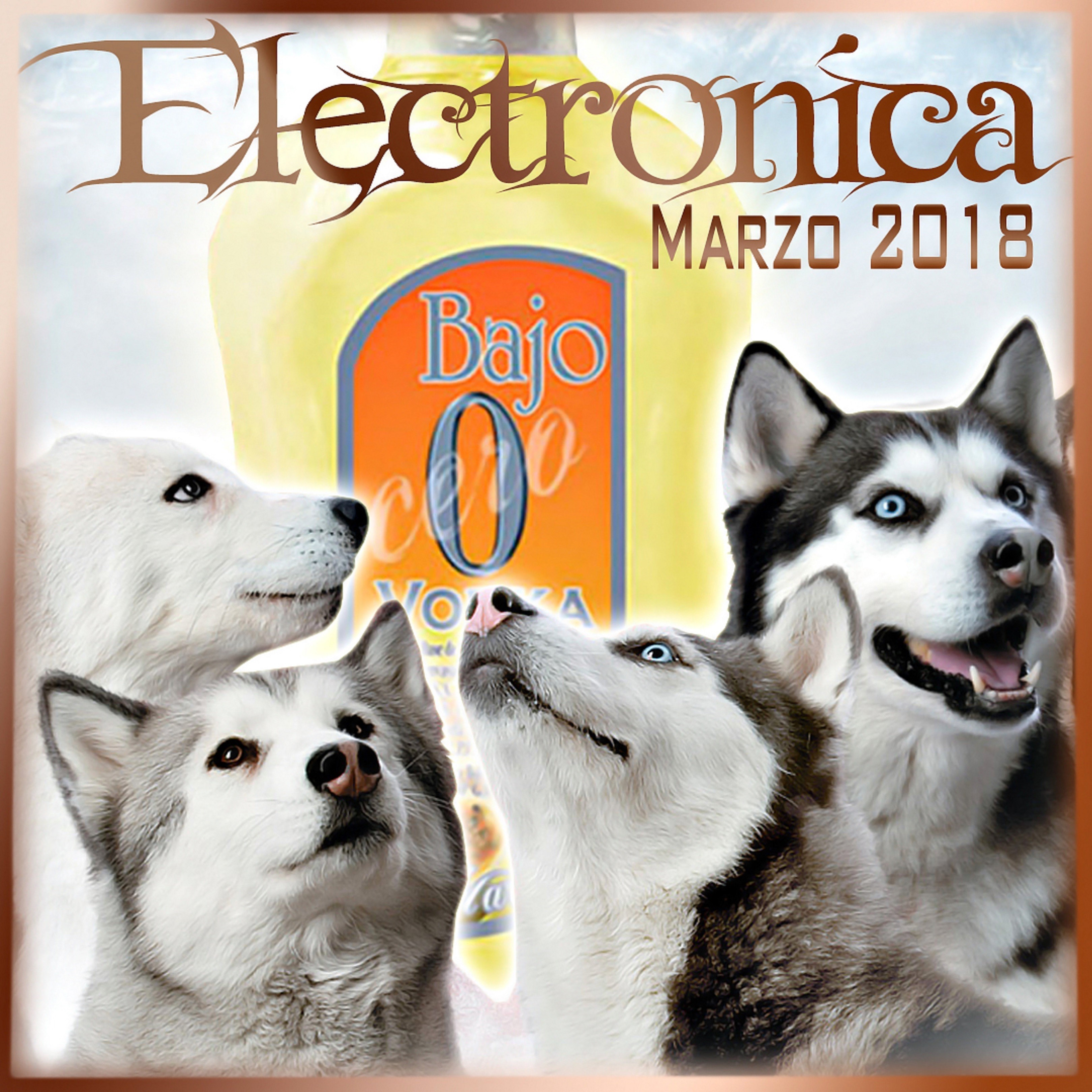 Electronica Bajo 0 Marzo