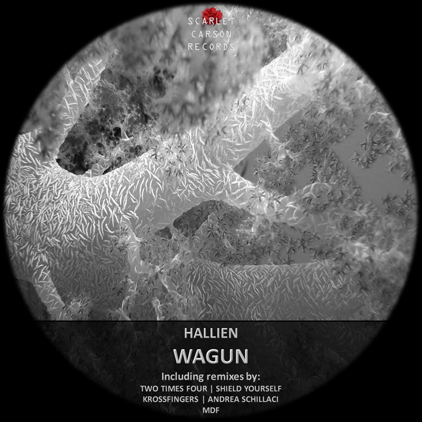 Wagun (Andrea Schillaci Remix)