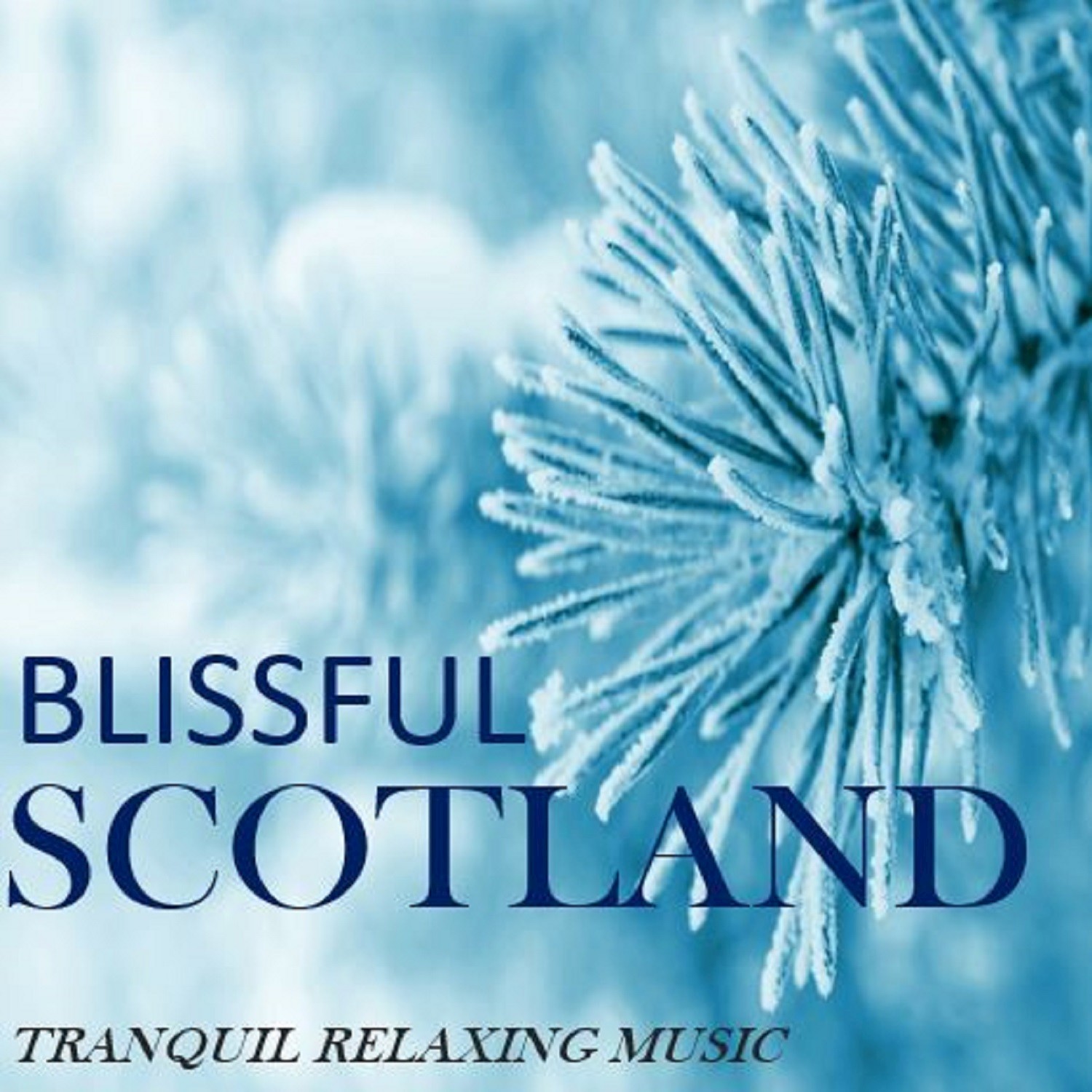 Blissful Scotland: Tranquil Relaxing Music