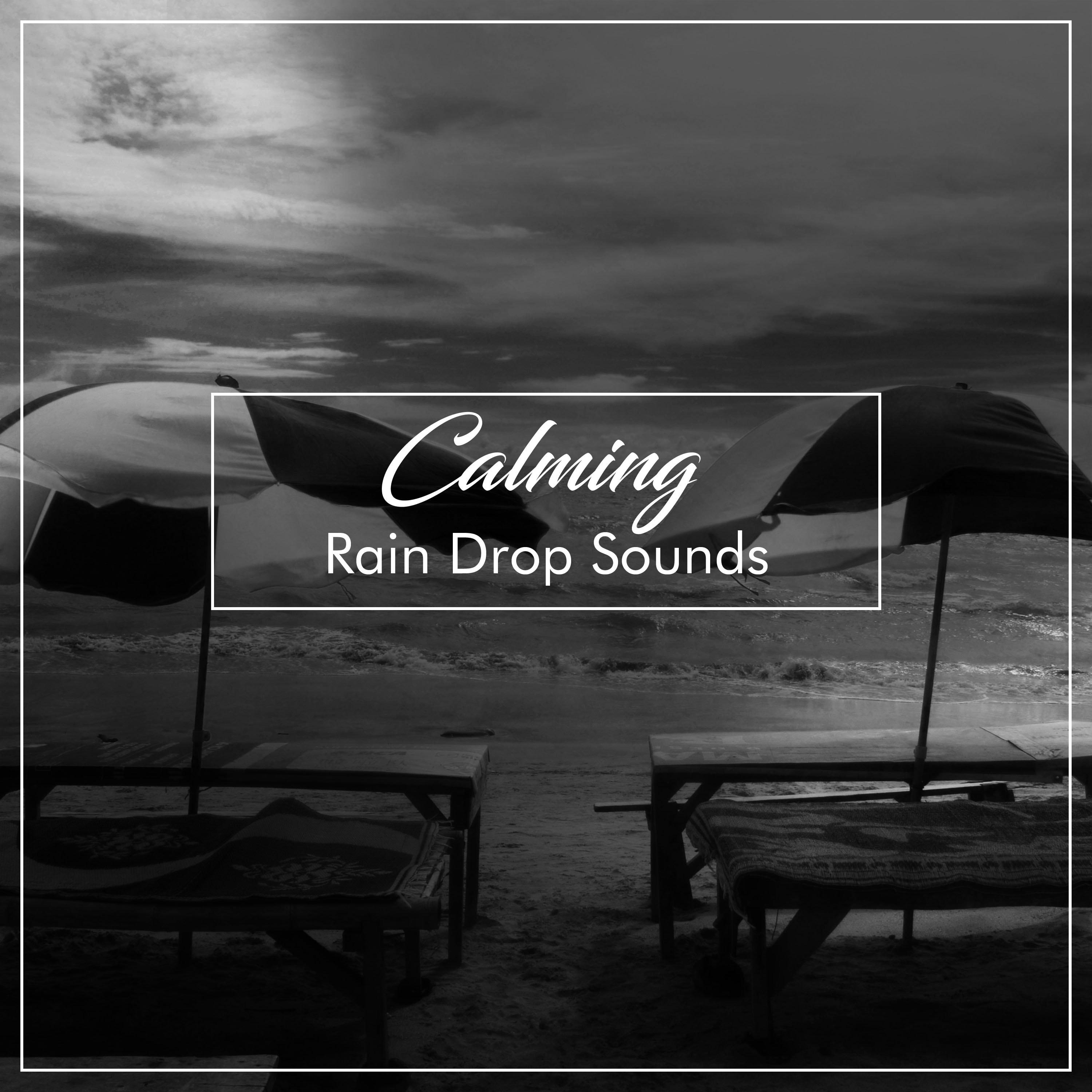 #10 Calming Rain Drop Sounds from Nature
