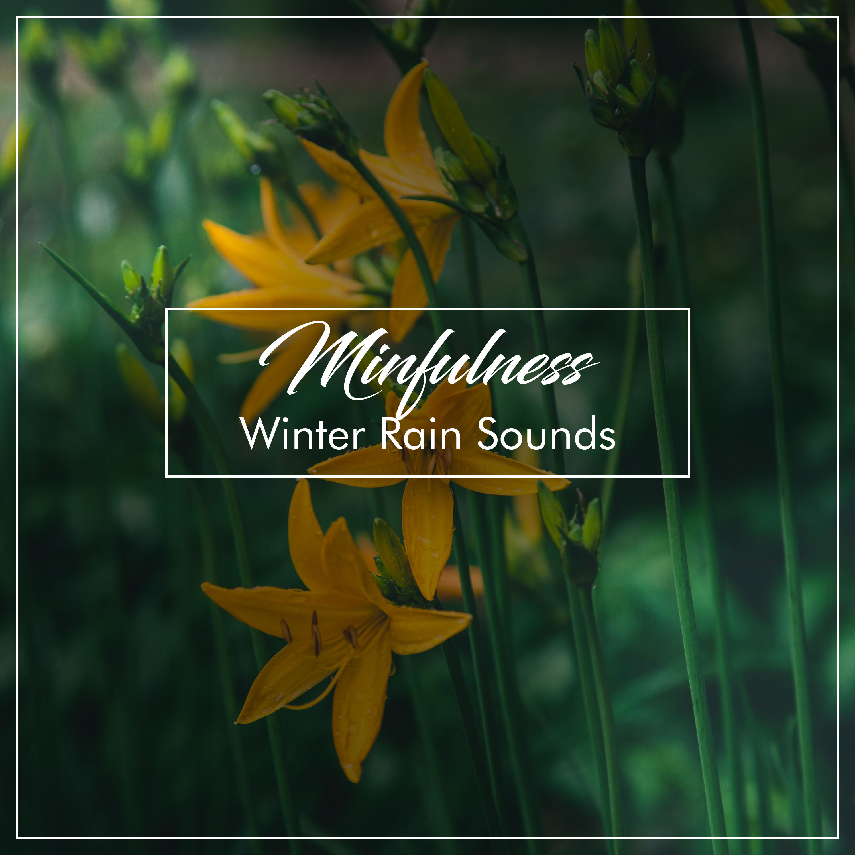#18 Minfulness Winter Rain Sounds for Relaxing & Sleep