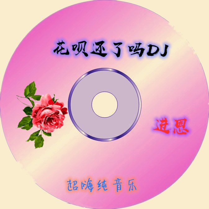 hua bei hai le ma DJ wan zheng ban