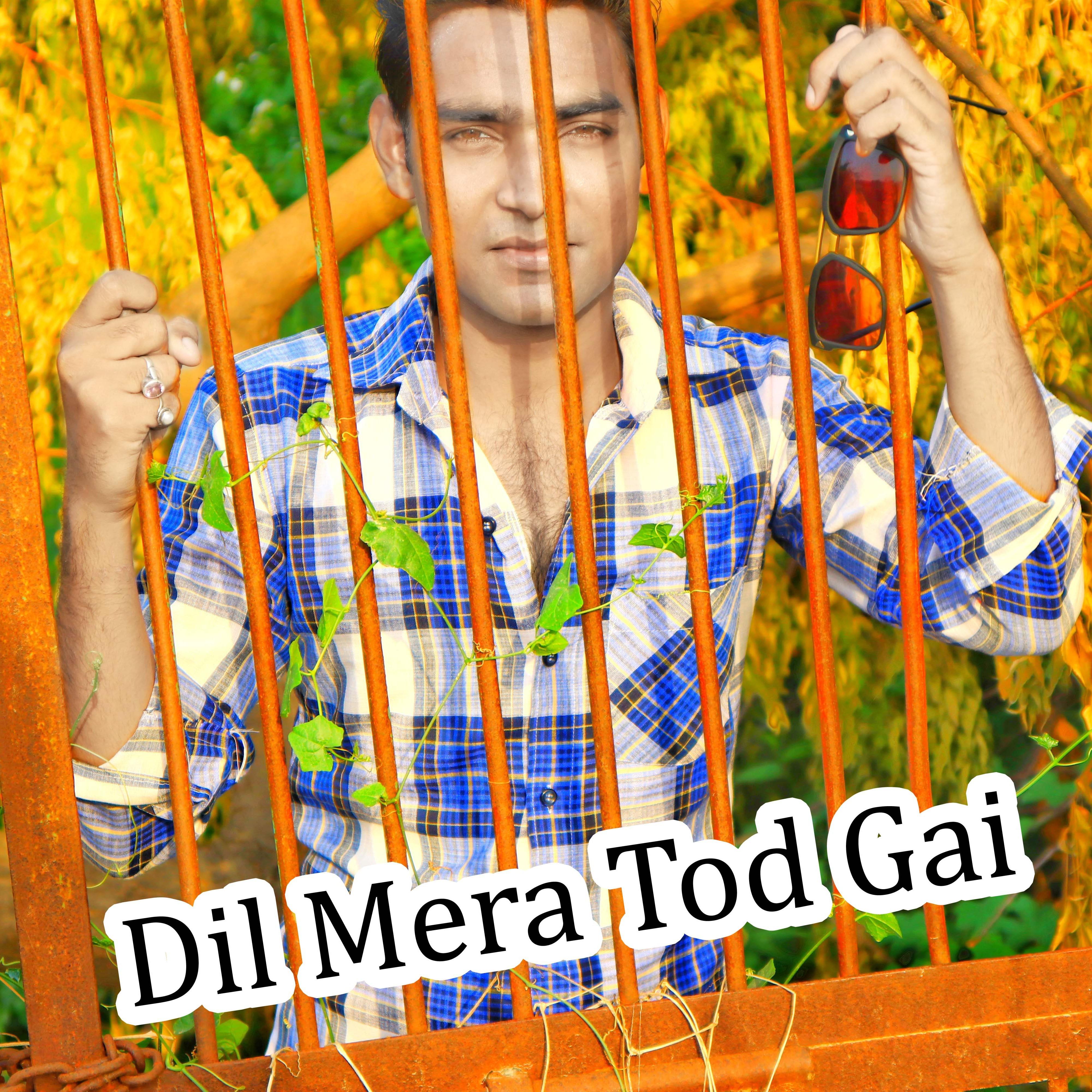 Dil Mera Tod Gai