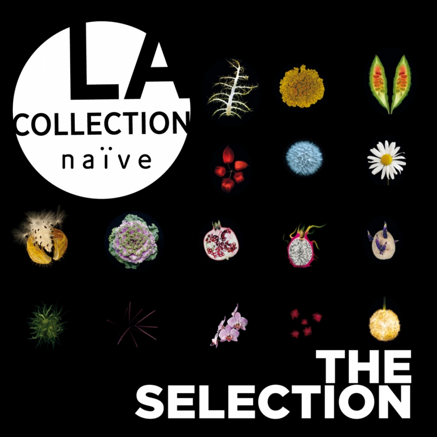 La collection na ve: The Selection