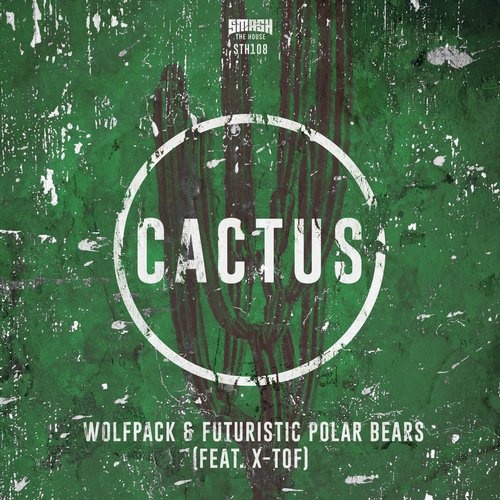 Cactus (Original Mix)