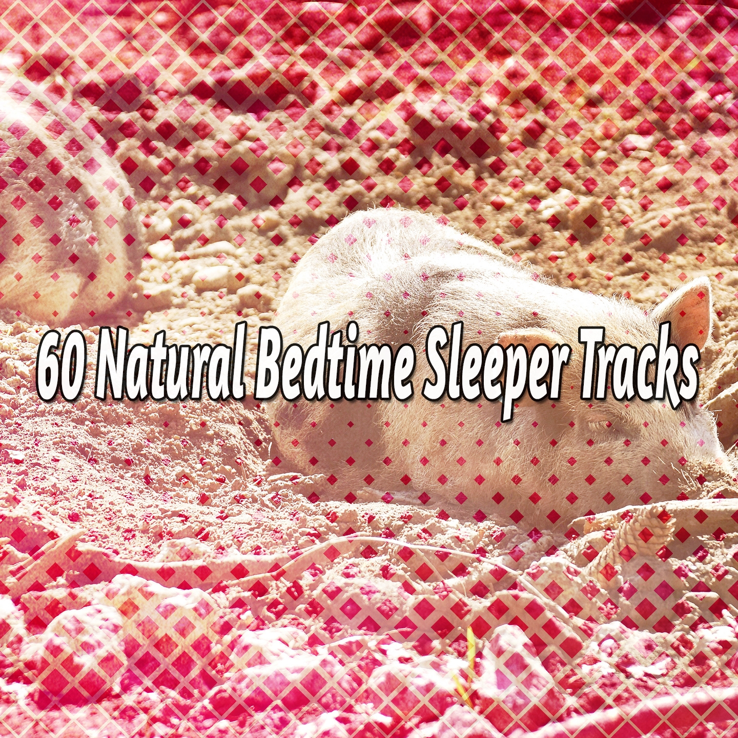 60 Natural Bedtime Sleeper Tracks