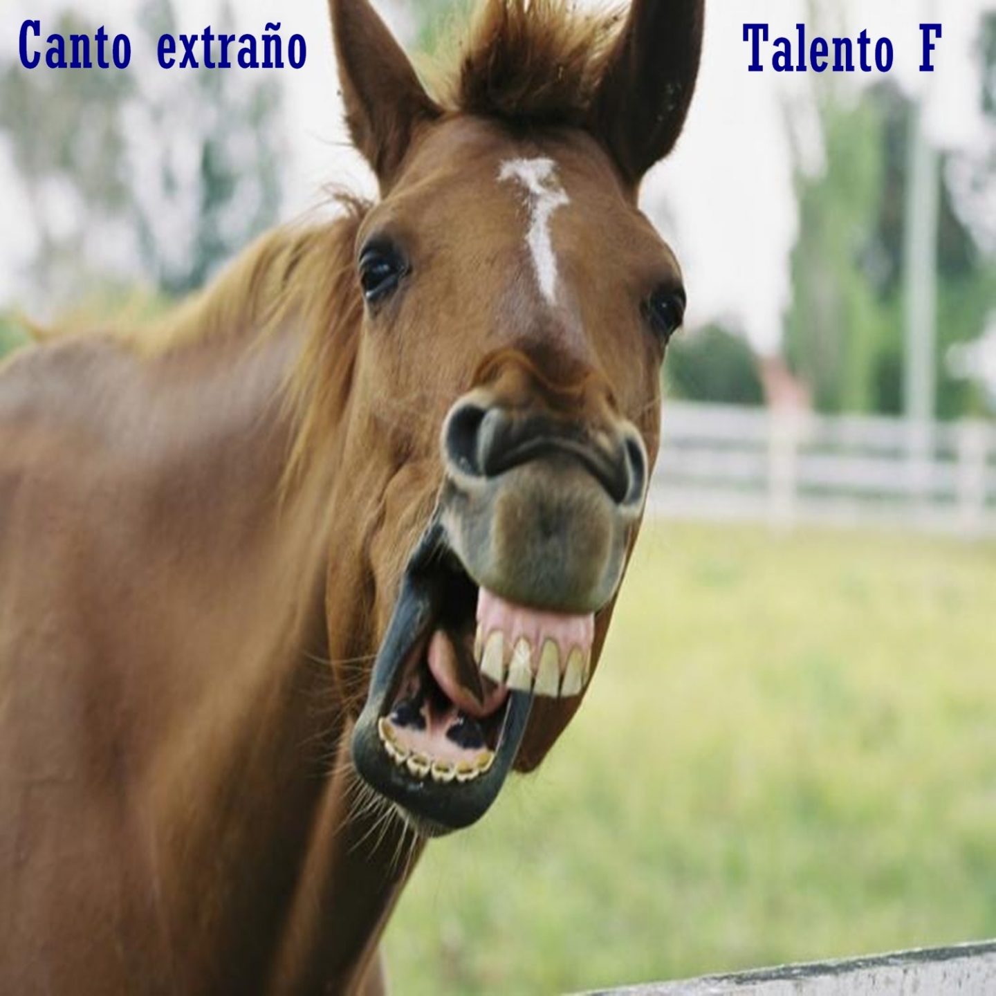 Canto Extra o