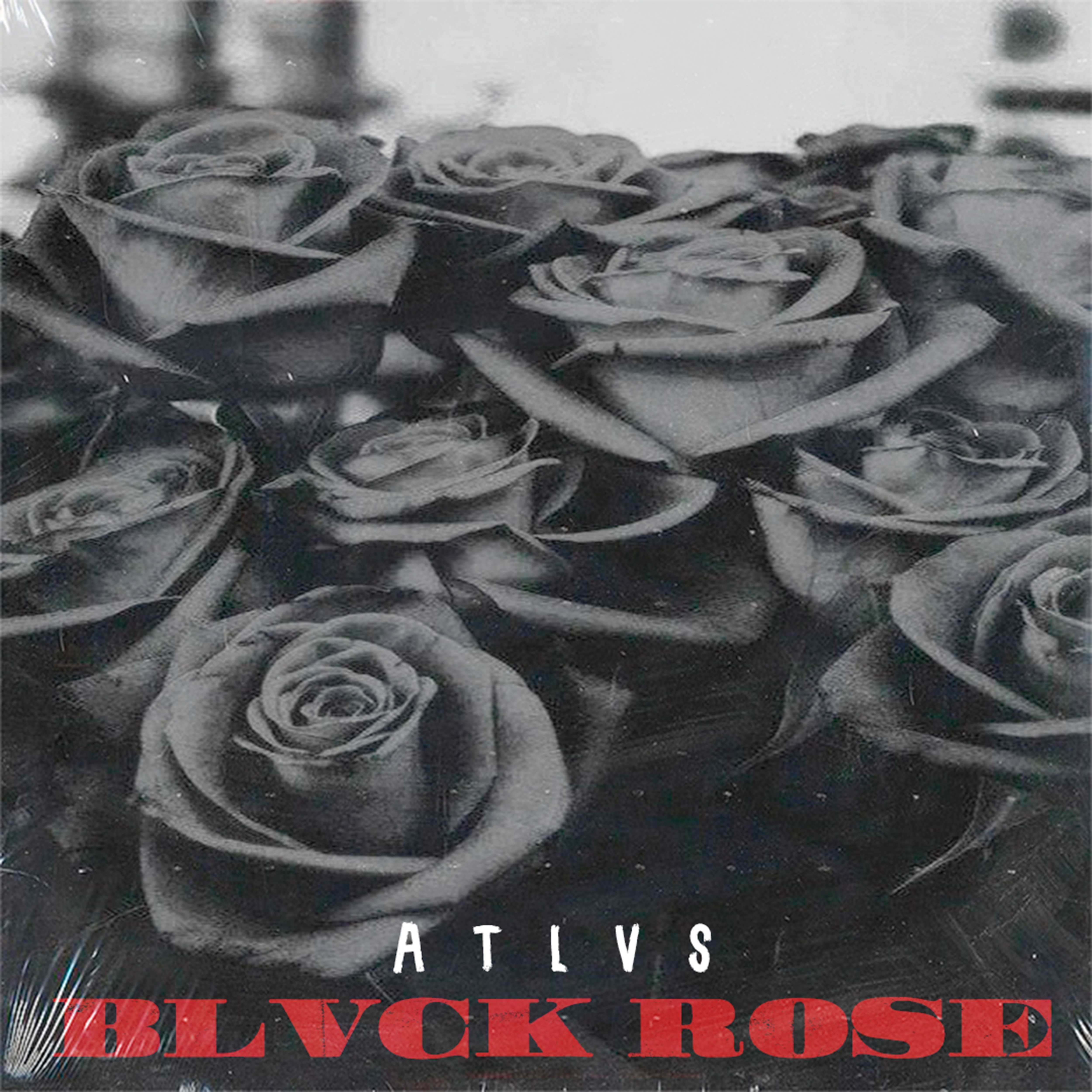Blvck Rose