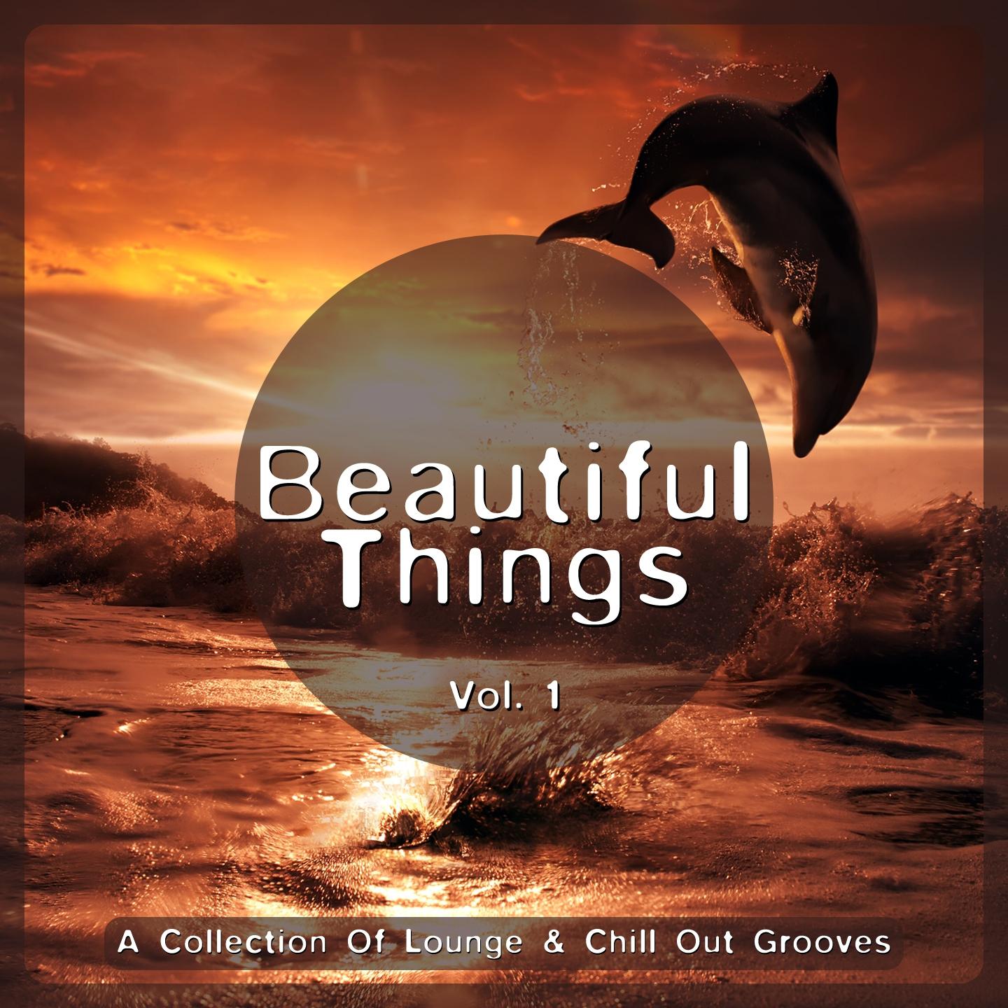 Beautiful Things, Vol. 1 (A Collection of Lounge & Chill Out Grooves)