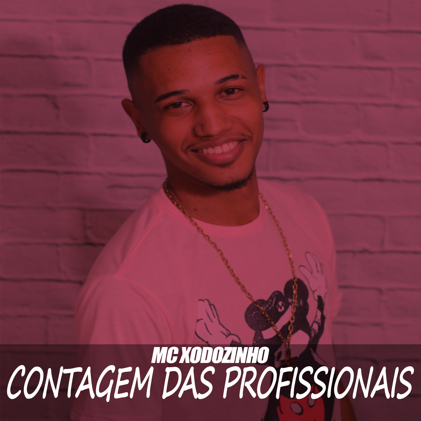 Contagem das Profissionais