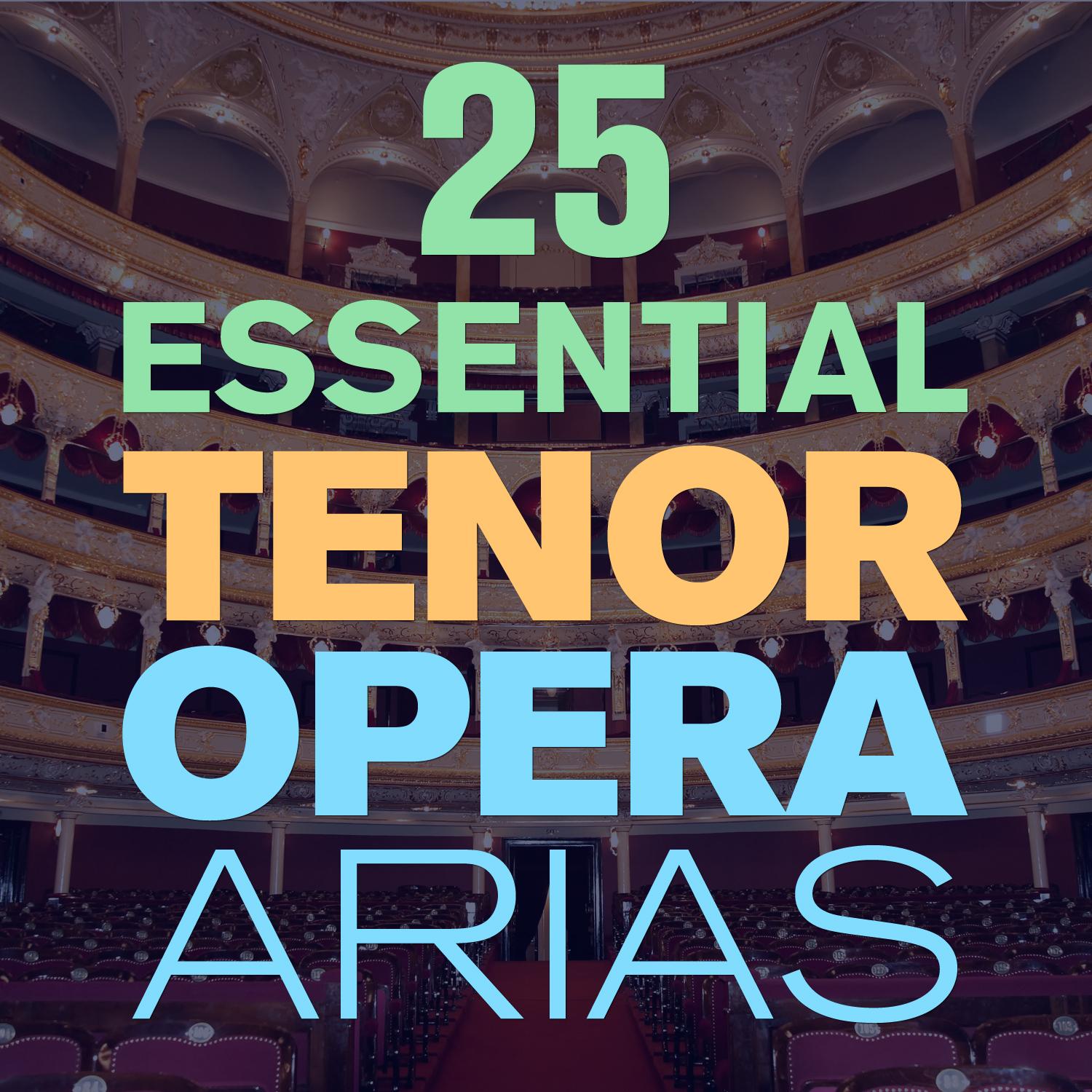 25 Essential Tenor Opera Arias, Songs & Duets with from Mozart, Puccini, Bizet, Verdi, Donizetti & More