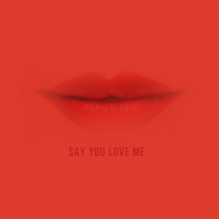 Say You Love Me (Elec Ver.)