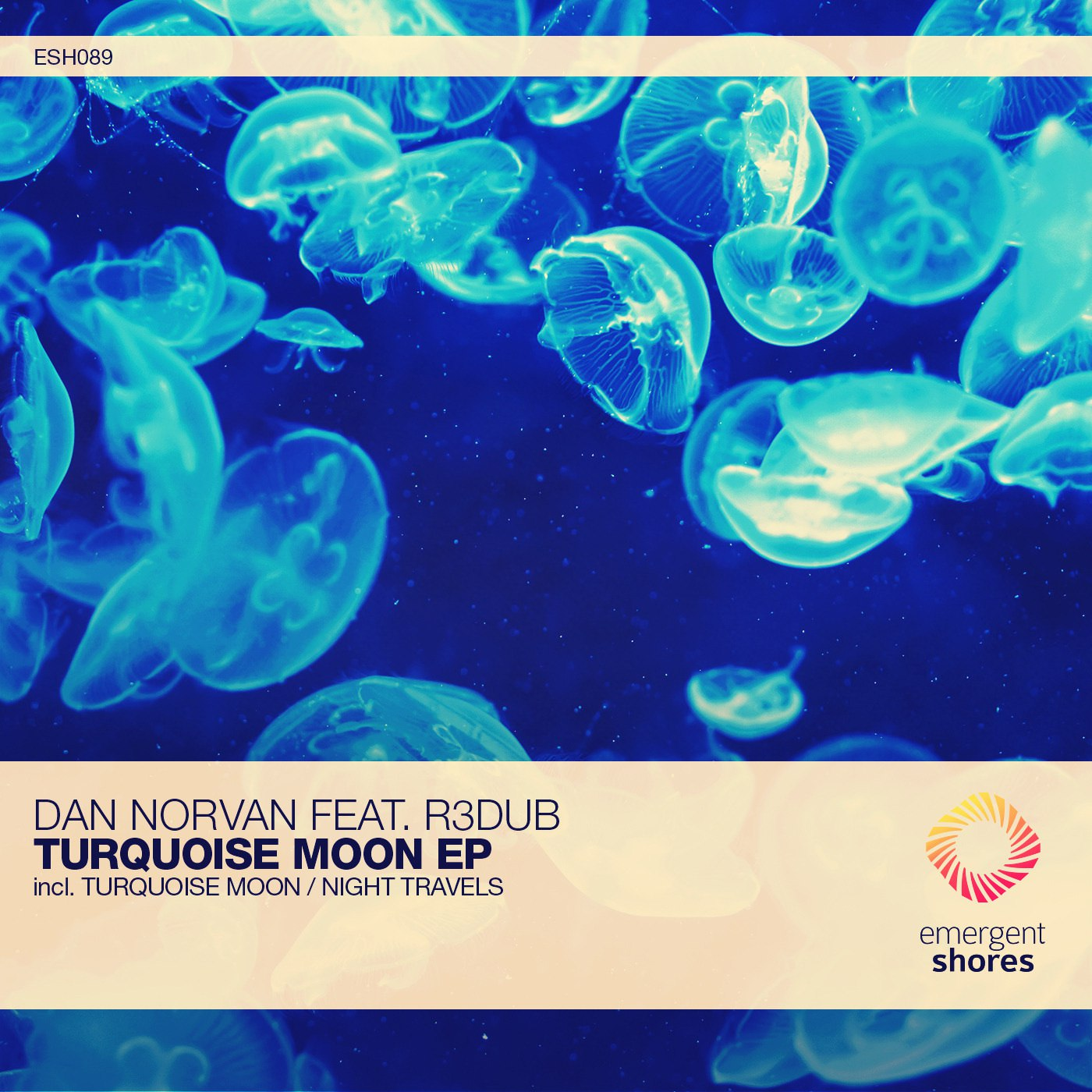 Turquoise Moon (Original Mix)