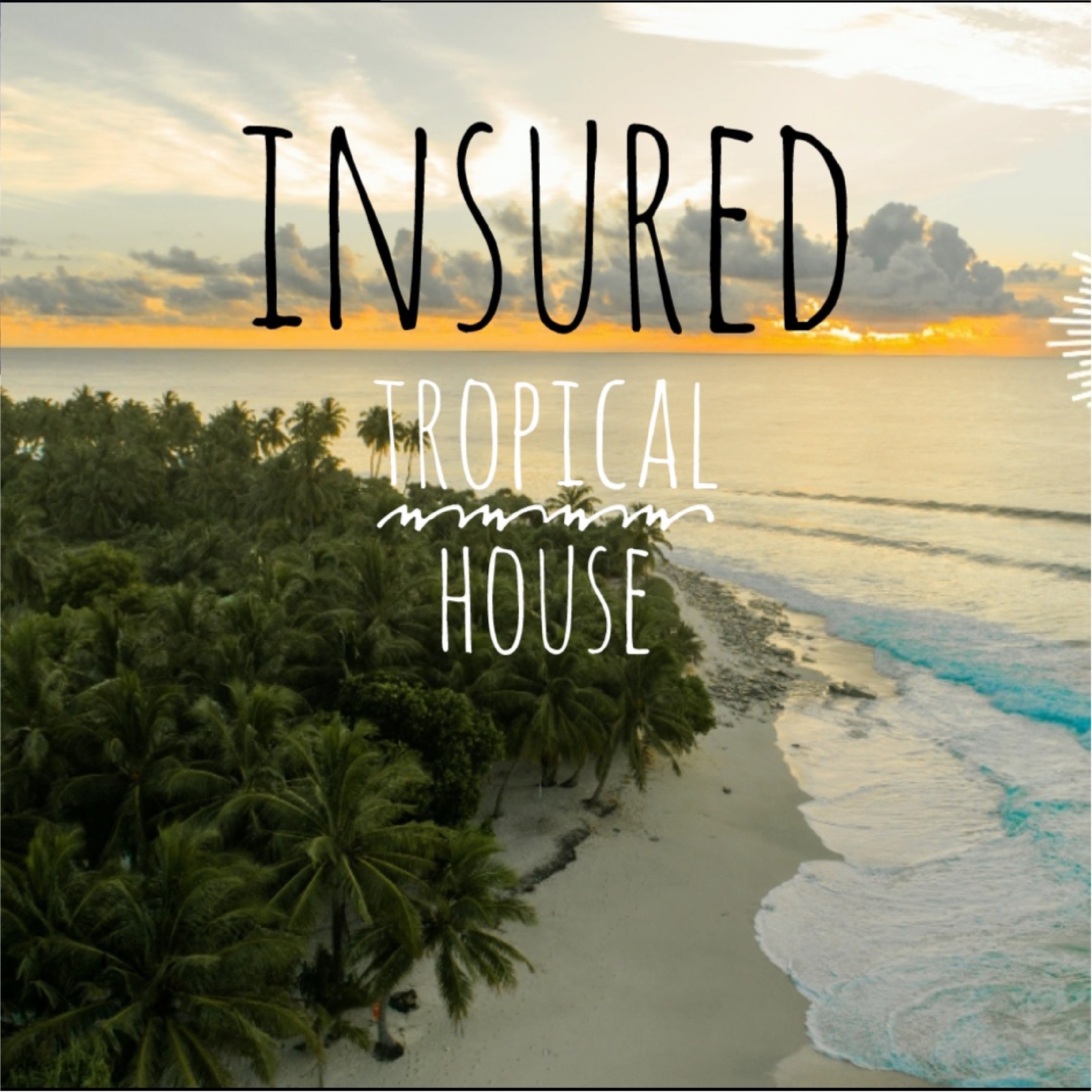 Insured (Tropical House)