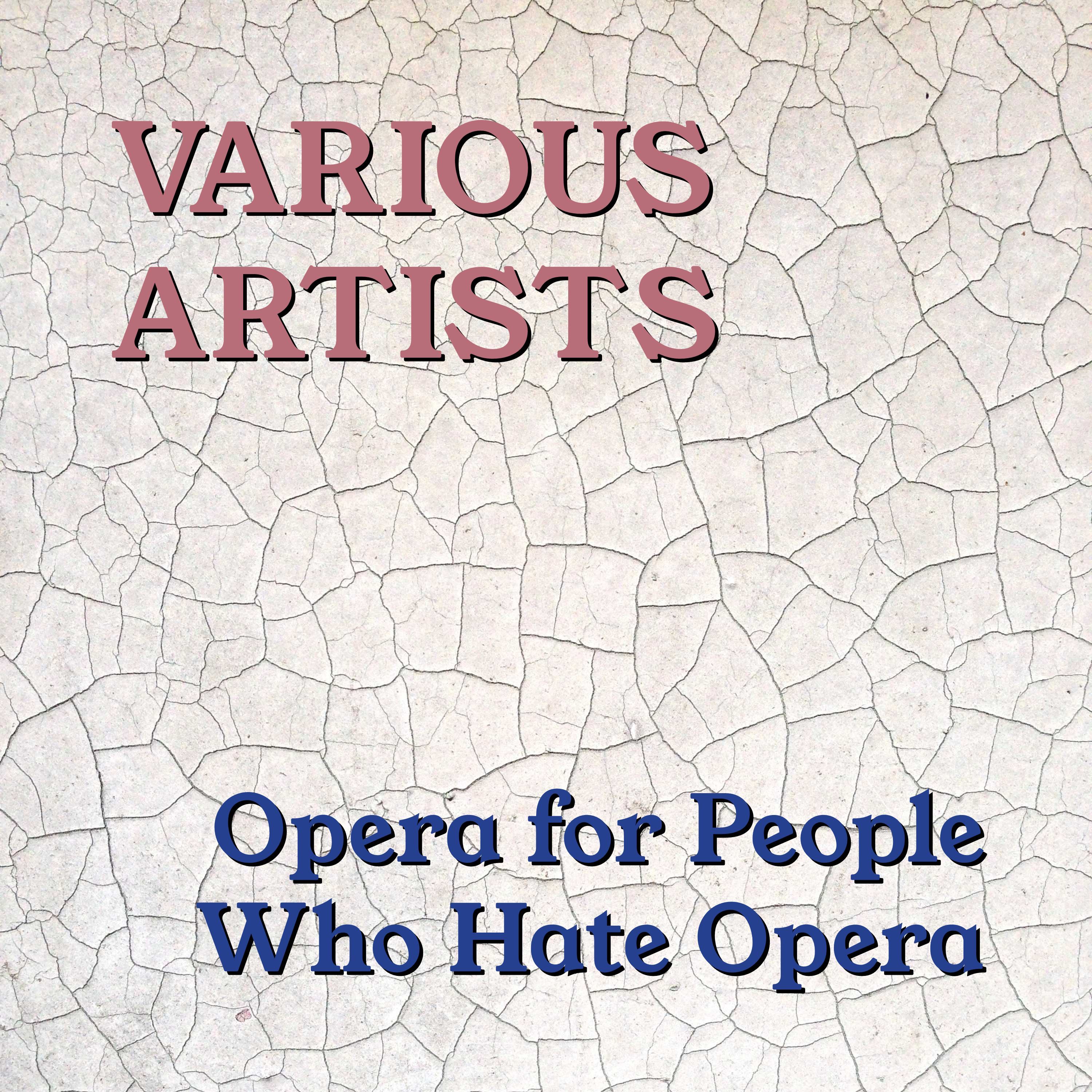 The Marriage Of Figaro - Act III: Letter Duet: Canzonetta Sull'aria (Call It "Ode To The Wind")