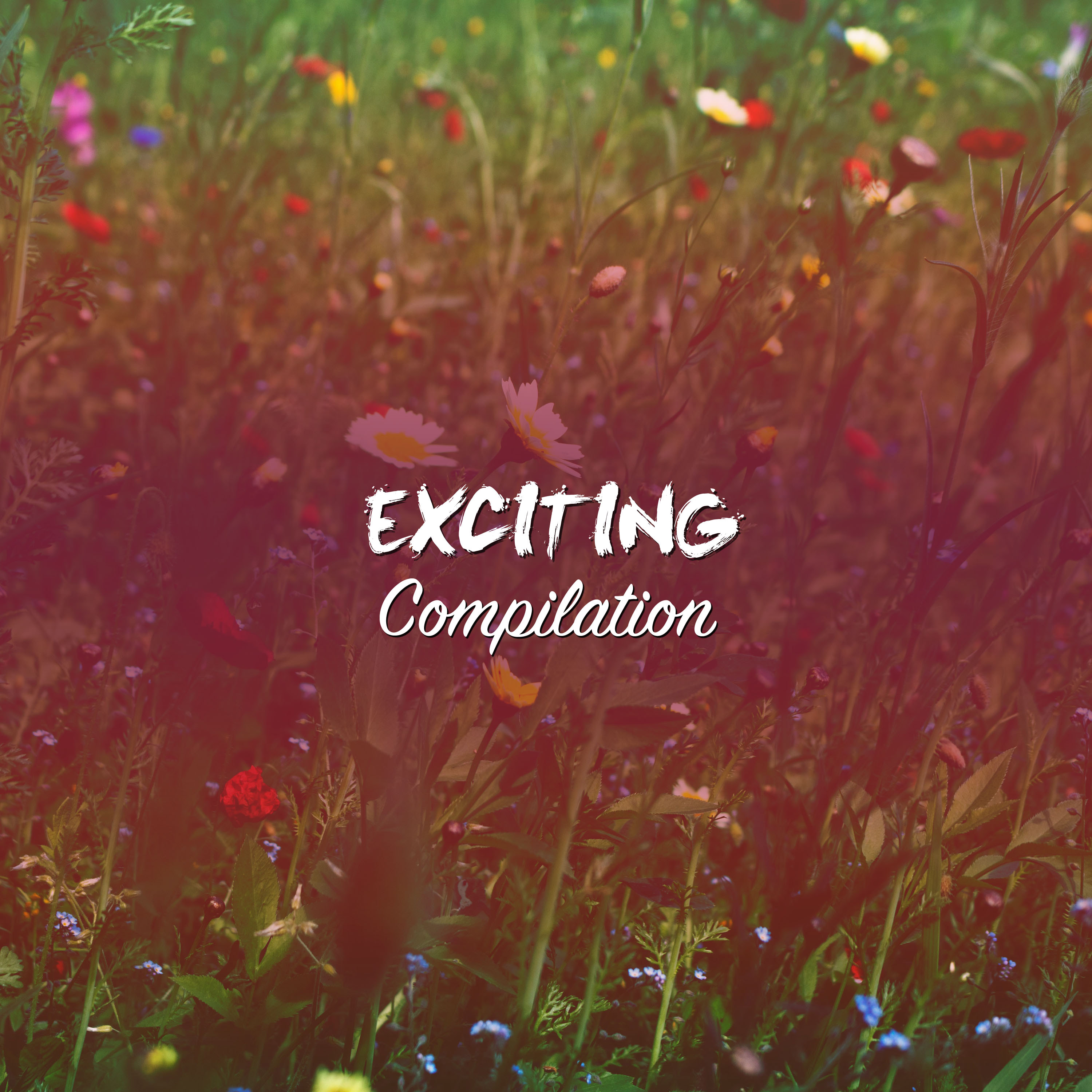 #10 Exciting Compilation to Guide Yoga & find Calm