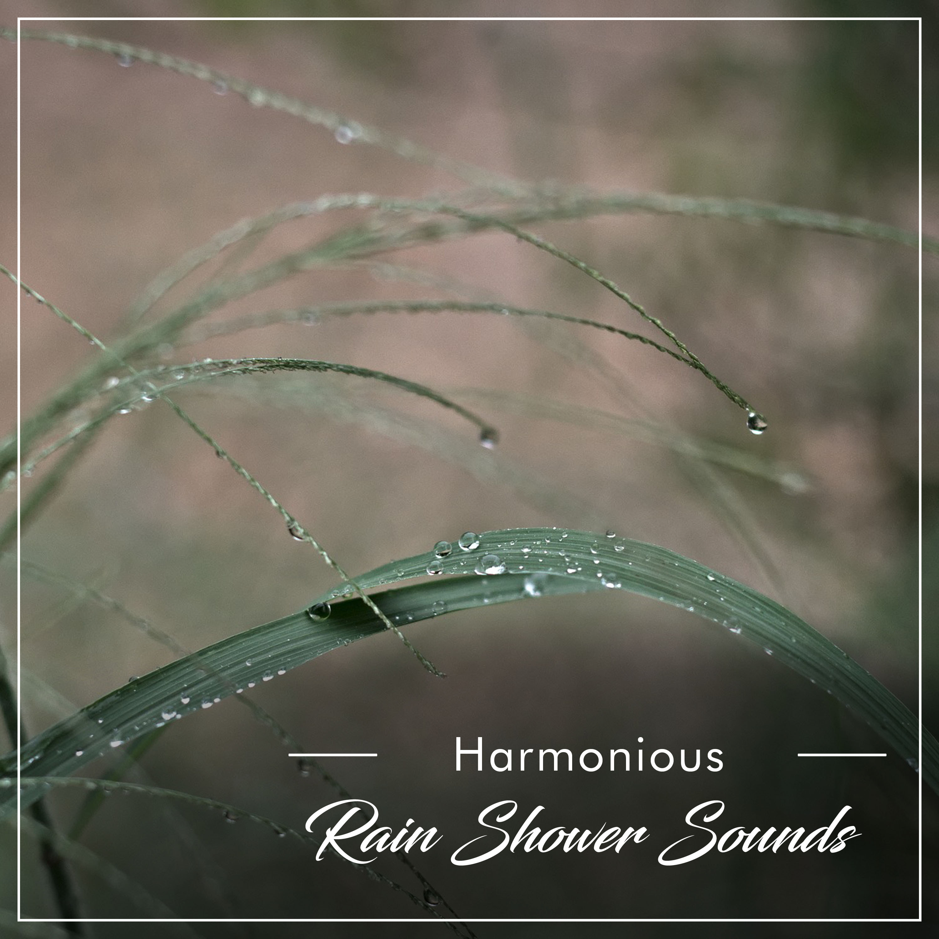 #21 Harmonious Rain Shower Sounds