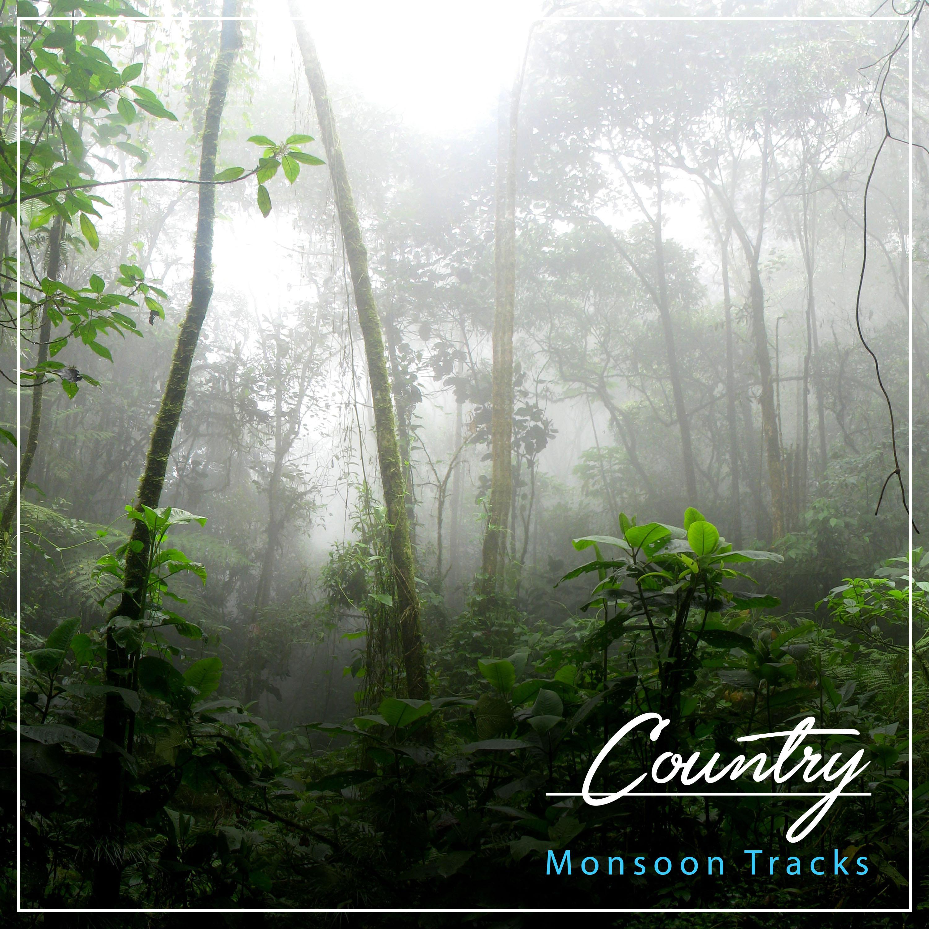 #18 Country Monsoon Tracks for Zen Meditation & Relaxation