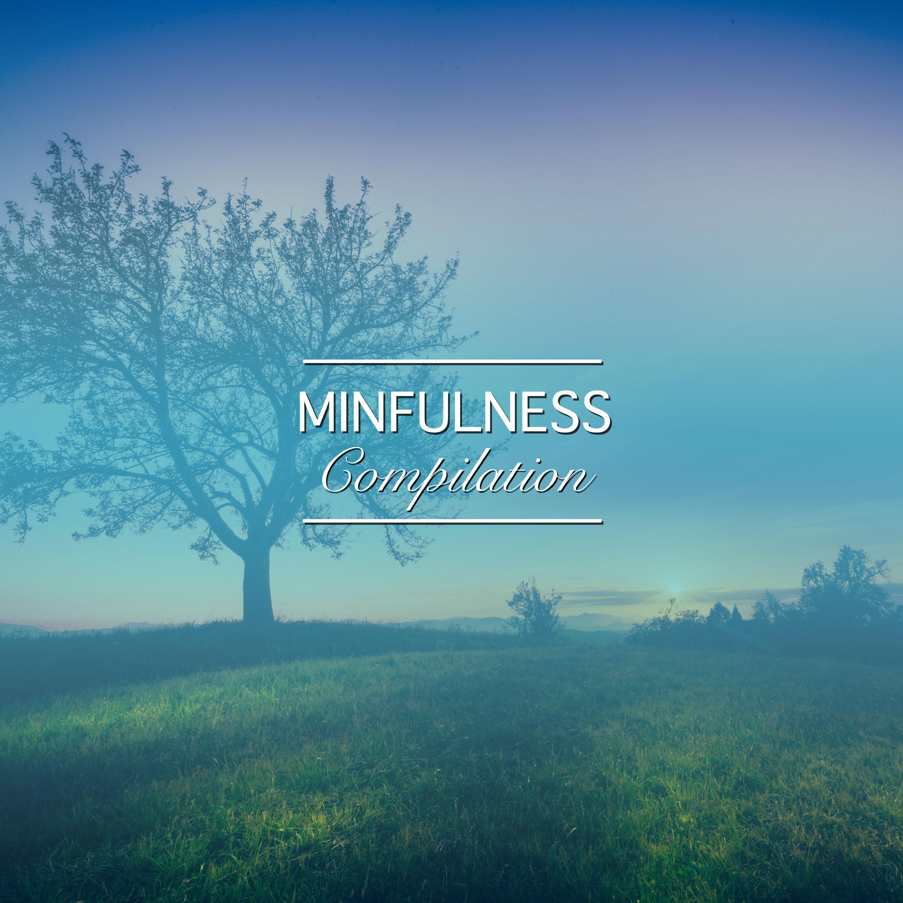 #10 Minfulness Compilation for Meditation, Spa and Relaxation