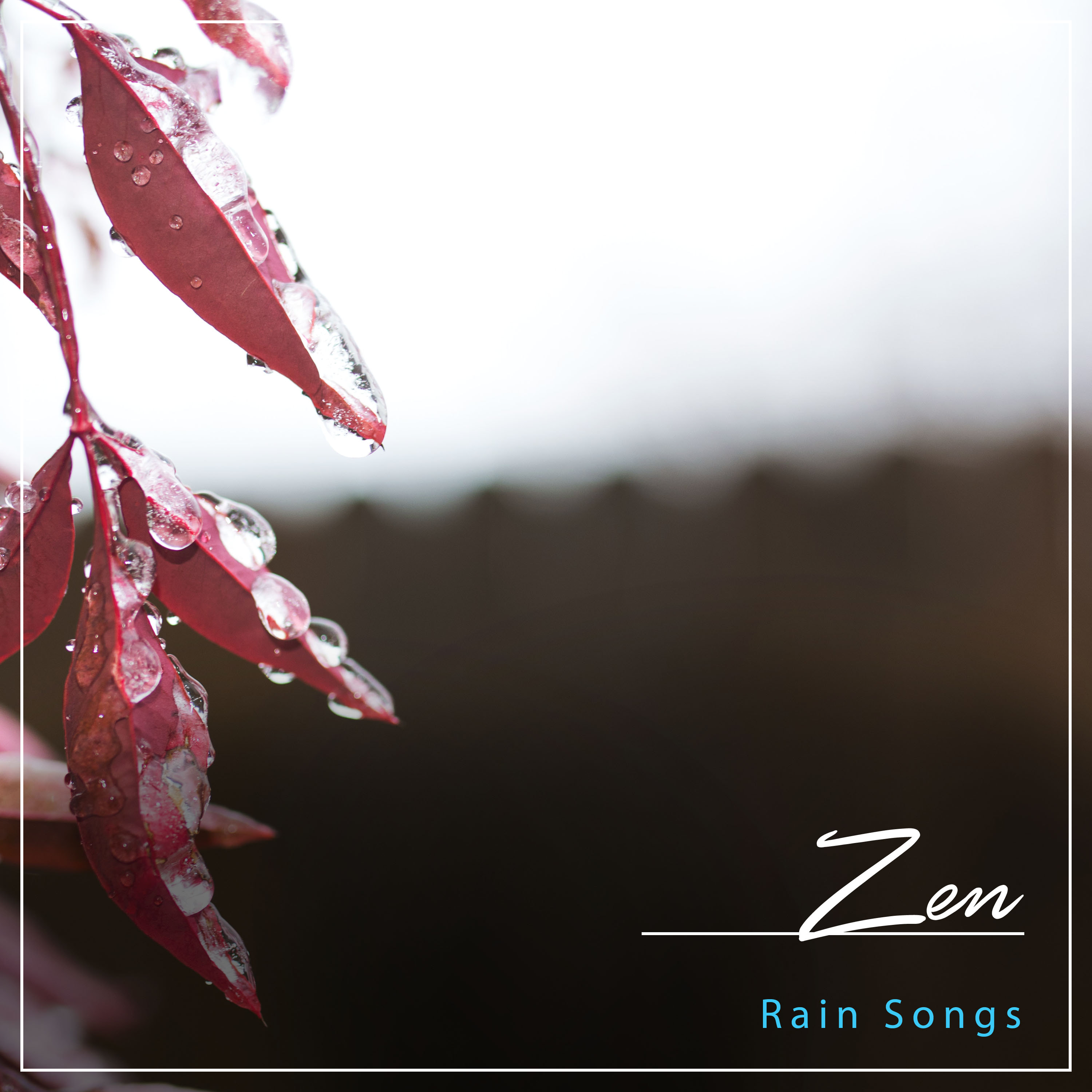 #15 Zen Rain Songs